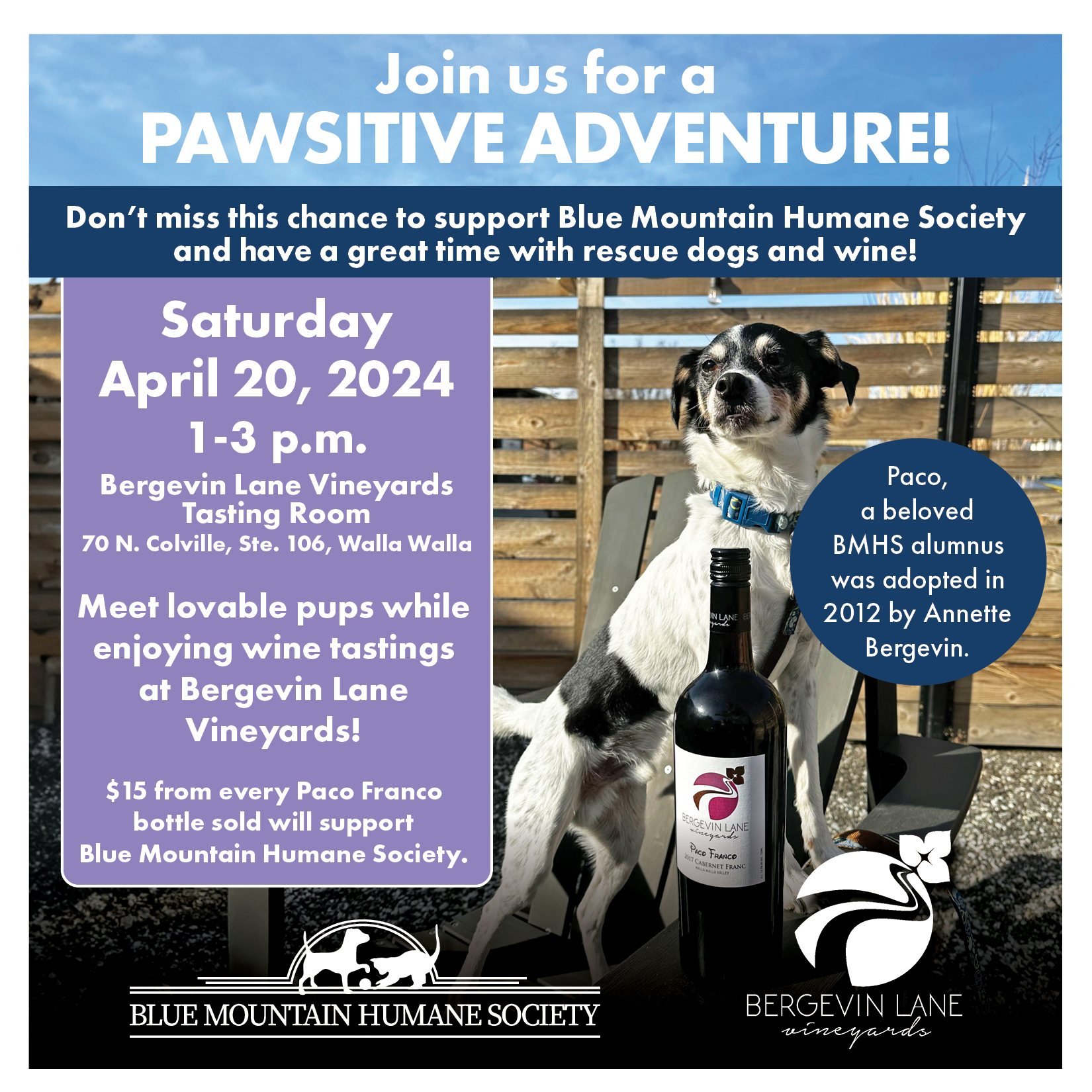 Join us tomorrow, April 20, from 1-3 p.m. at Bergevin Lane Vineyards for a BMHS Pawsitive Adventures event! $15 from every Paco Franco bottle sold will support BMHS. Meet adoptable dogs, enjoy wine tastings, and learn about adoption. Don't miss this 