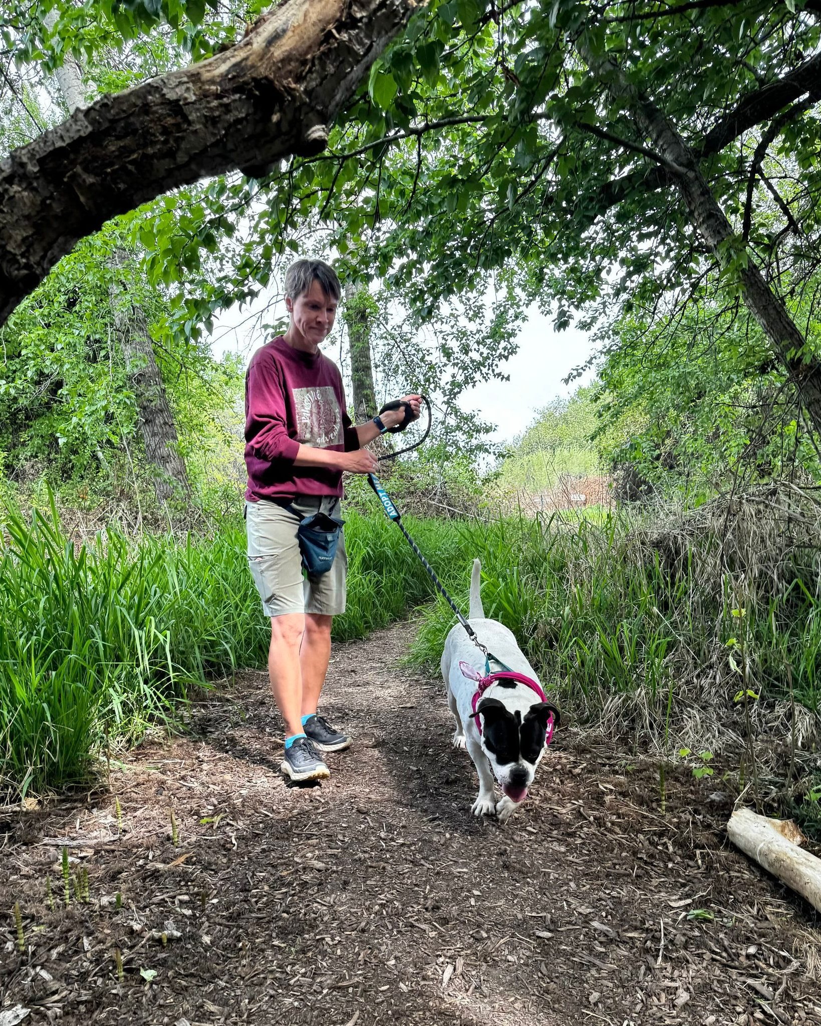 Today, we're highlighting our Pawsitive Adventures program, an initiative focused on bringing joy and enrichment to the lives of our shelter dogs at Blue Mountain Humane Society.

Bella and Rex enjoyed a day out at Arthur Rempel Nature Trail and Park