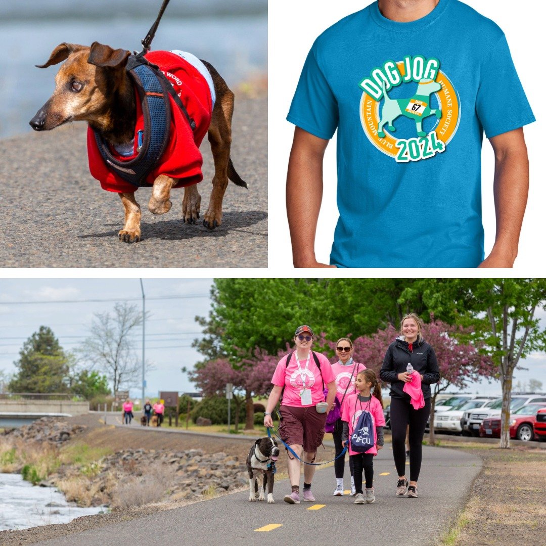 The deadline to get your Dog Jog tickets WITH a T-shirt is almost here! Don't miss out on the chance to strut your stuff in style. 

Secure your ticket today: bluemountainhumane.org/dog-jog 

Deadline: 5 p.m., Thursday, May 2nd.
 
After May 2nd, tick