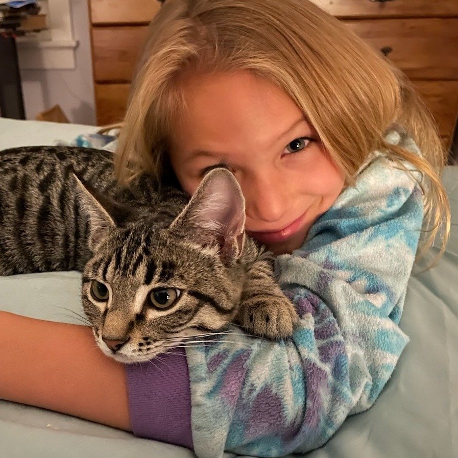 We&rsquo;re happy to share an update from the Goff family about Phelix and Muesli (formerly Miles and Merlin)! These two have settled into their new home wonderfully, becoming fast friends who play and nap together daily.

Thank you, Goffs, for givin