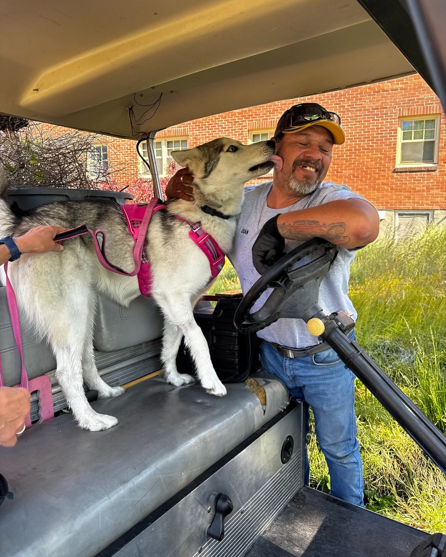 Our adoptable dogs Misty, Cesar, and Charm recently enjoyed some well-earned time out of the shelter&mdash;and they made the most of it!

Misty had a beautiful walk through Whitman College, soaking up sunshine, sniffing squirrels, and cooling her paw