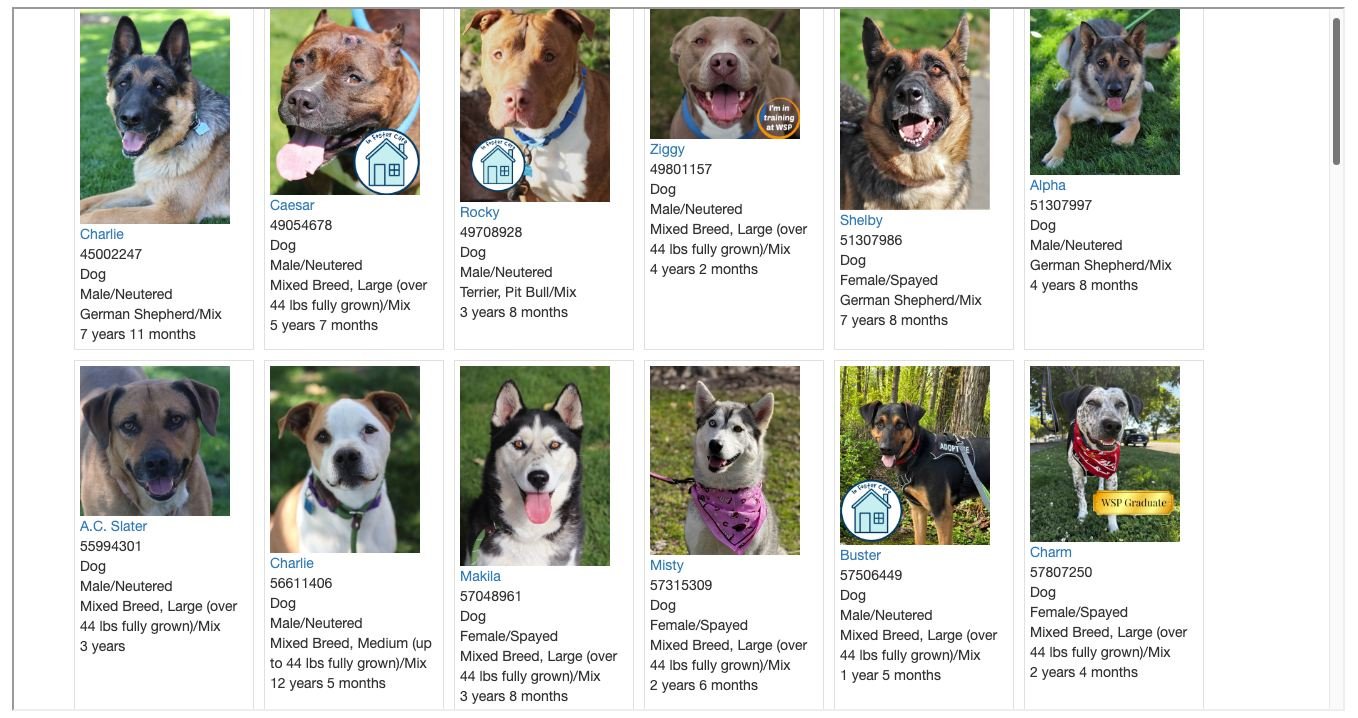 URGENT: We&rsquo;re Over Capacity &mdash; You Can Help. 

Right now, all dog adoptions are 50% off at Blue Mountain Humane Society. 

That includes puppies and small dogs&mdash;and additional discounts still apply for senior citizens, veterans, etc. 