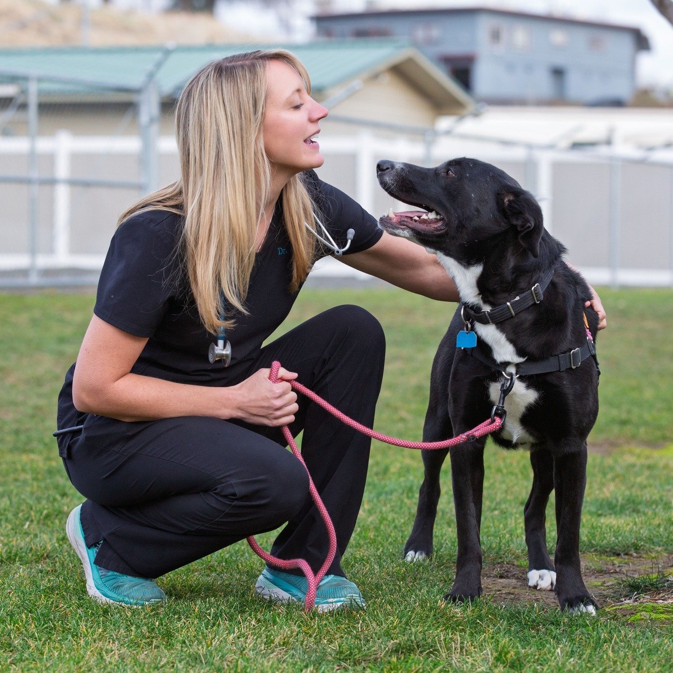 Free microchip clinic! We have a few appointments still available.

Blue Mountain Humane Society is hosting a Free Microchip Clinic on Saturday, June 28, from 9 a.m. to 1 p.m.

Appointments are required. Sign up now to reserve your spot. 
Bluemountai