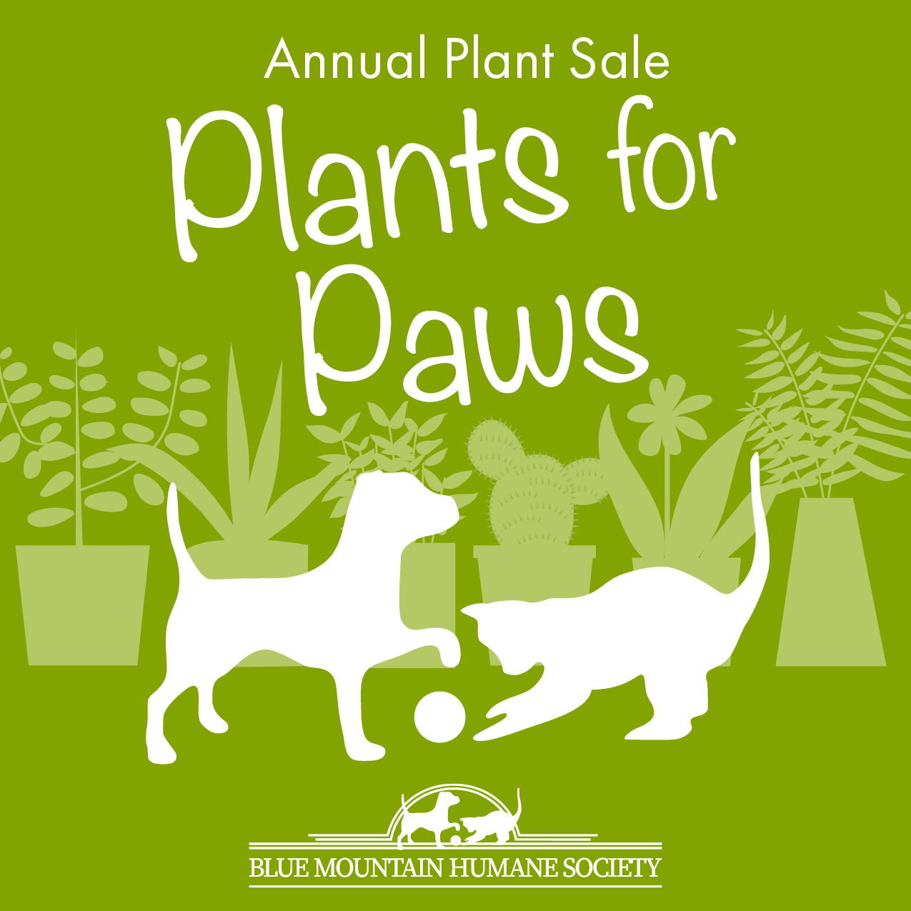 Plants for Paws
