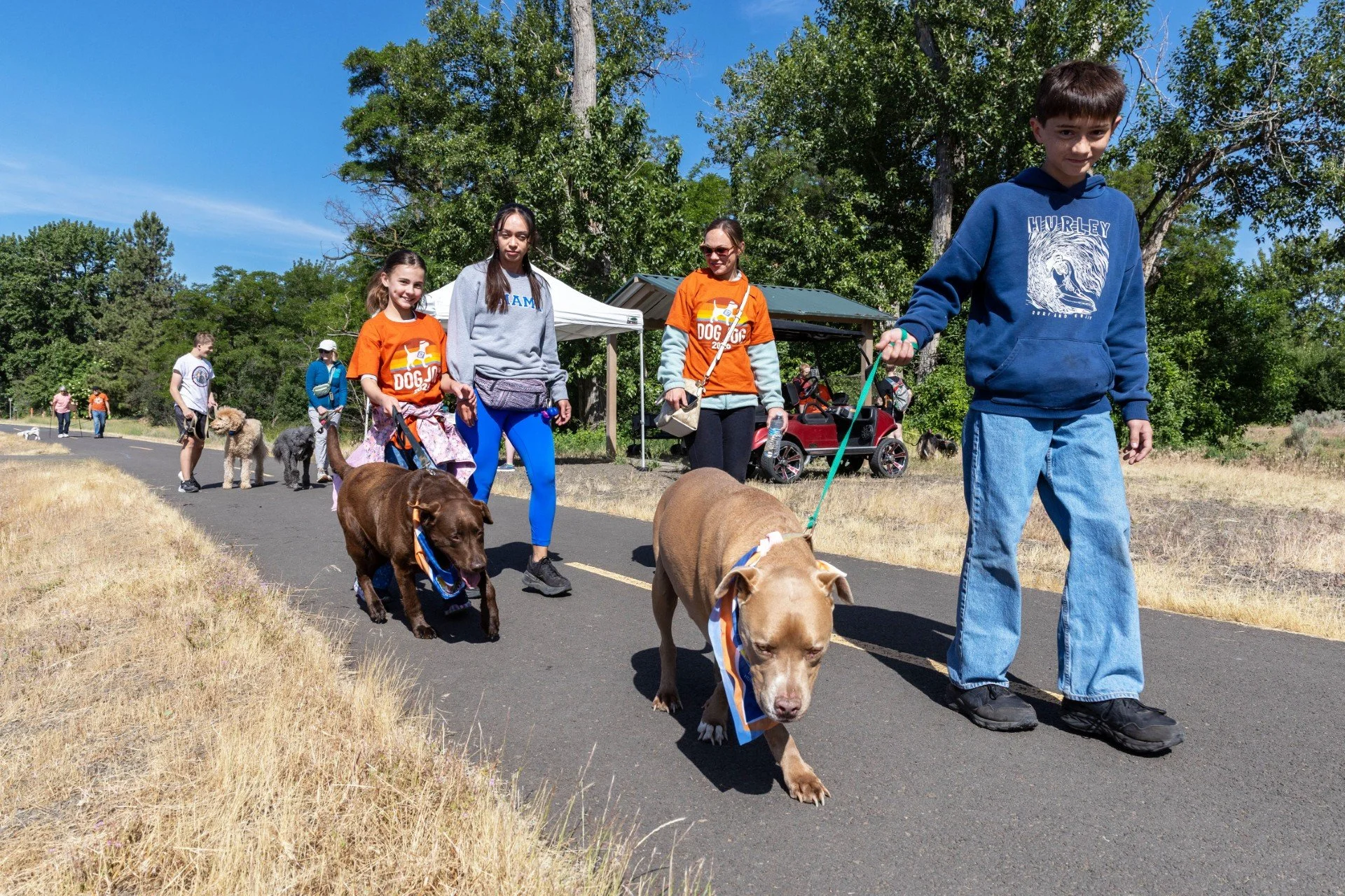 🚨We have several unclaimed Dog Jog T-Shirts! 

We want everyone who supported Dog Jog to receive the goodies that come with registration, especially T-Shirts that folks ordered when signing up. 

If you registered for Dog Jog and haven&rsquo;t recei