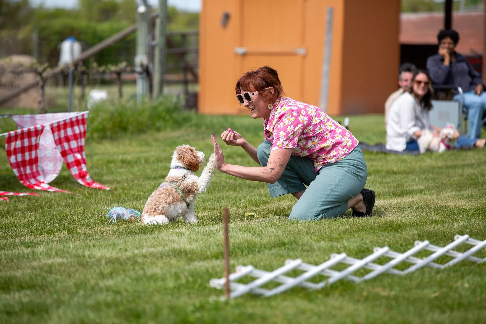 Balboa Winery&rsquo;s annual Best in Show event will be from noon to 4 p.m. today, June 7, at Balboa, 4169 Peppers Bridge Road. 

Enter your dog for $20 and compete for Waggiest Tail, Best Costume, Most Looks Like Their Owner, and other awards! 🥇

T