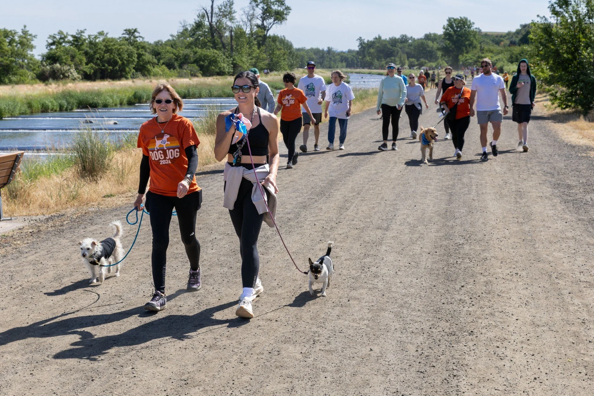 Thanks to our amazing sponsors, donors, participants, and volunteers, Dog Jog 2026 was a huge success! With over 275 tickets sold and more than 218 donations, Dog Jog brought in almost $43K, exceeding our $40K goal and helping give second chances to 