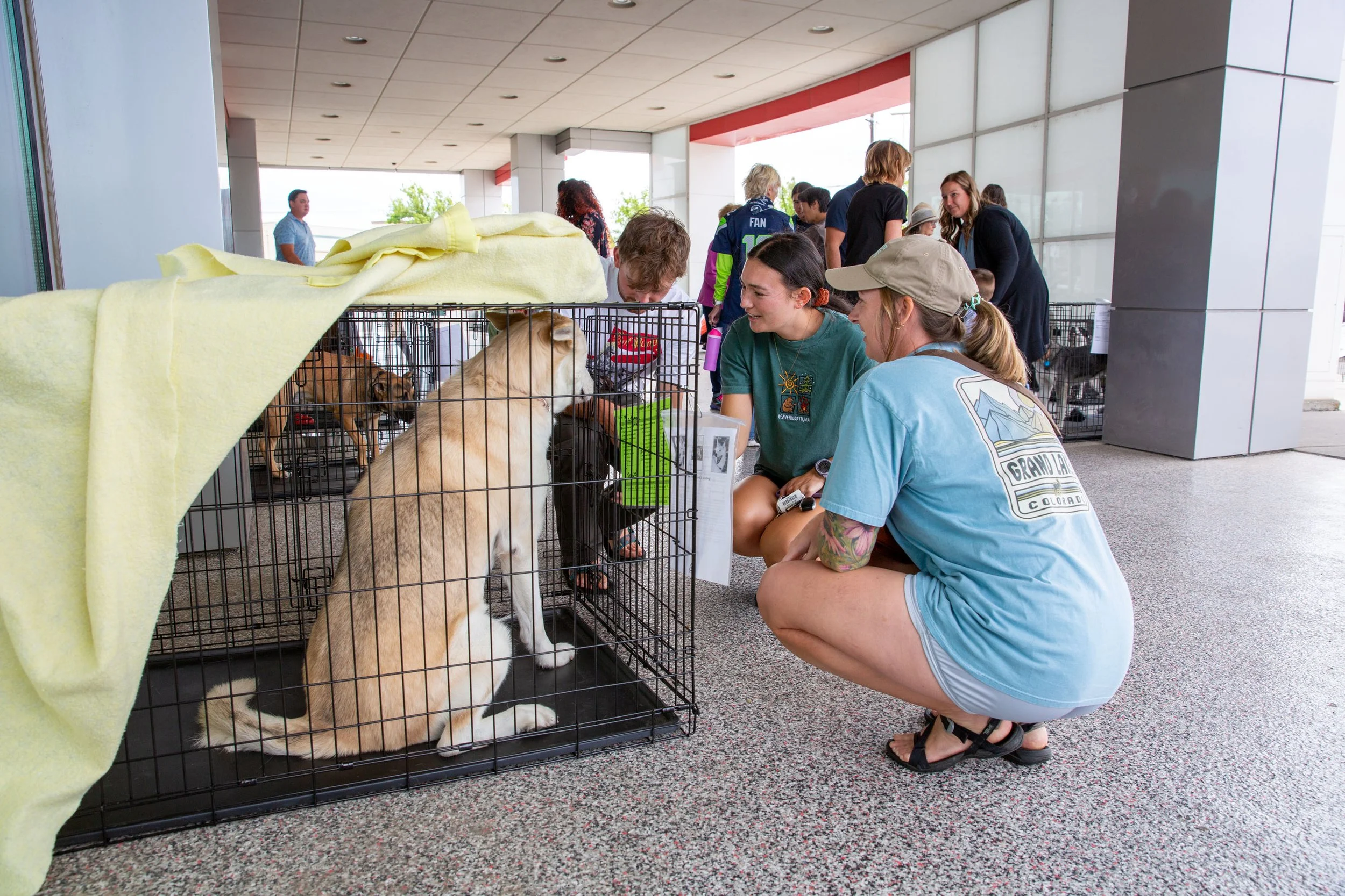 Walla Walla Toyota Adoption Event