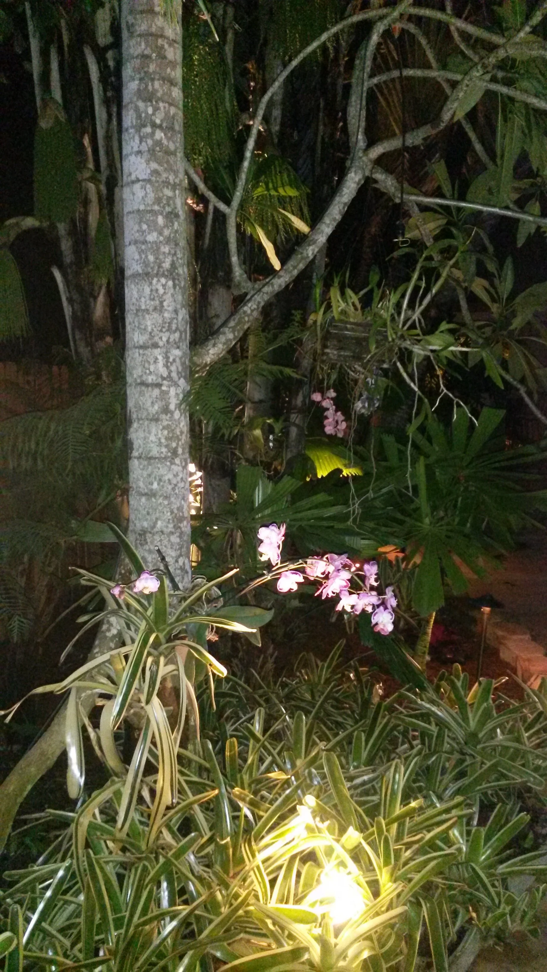 20150522_203901.jpg