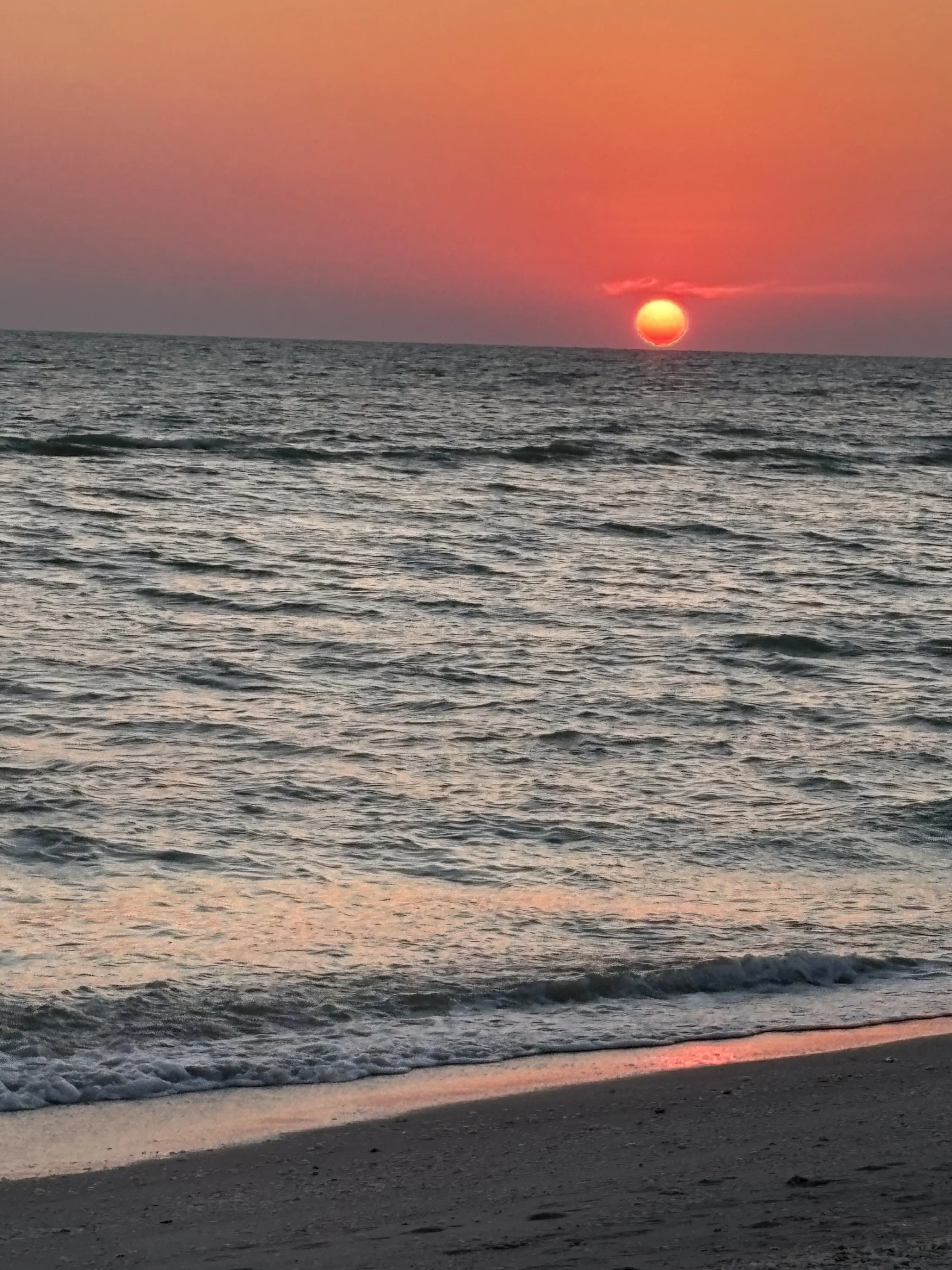 Separation - Joy, Loss, and Freedom