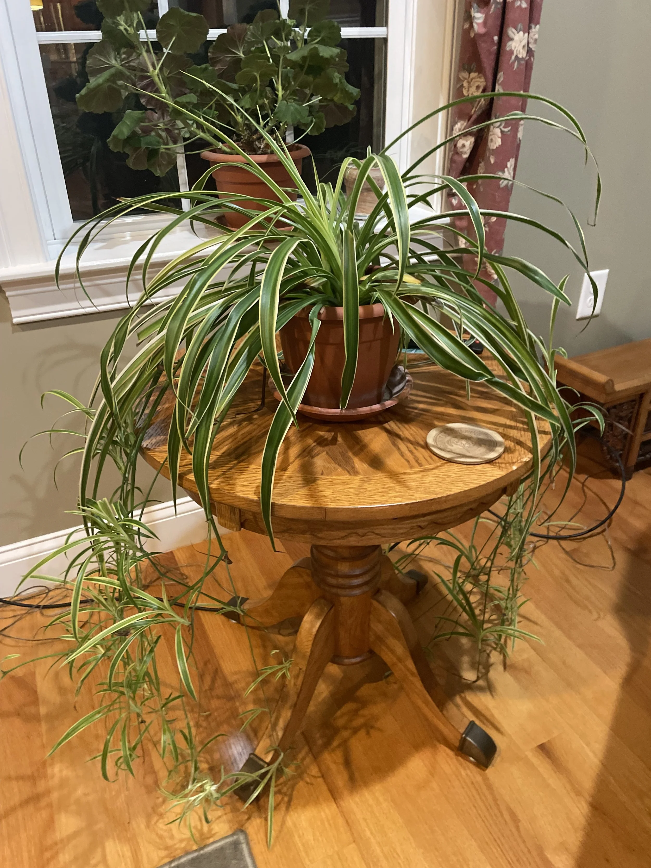 When it’s Time to Move On