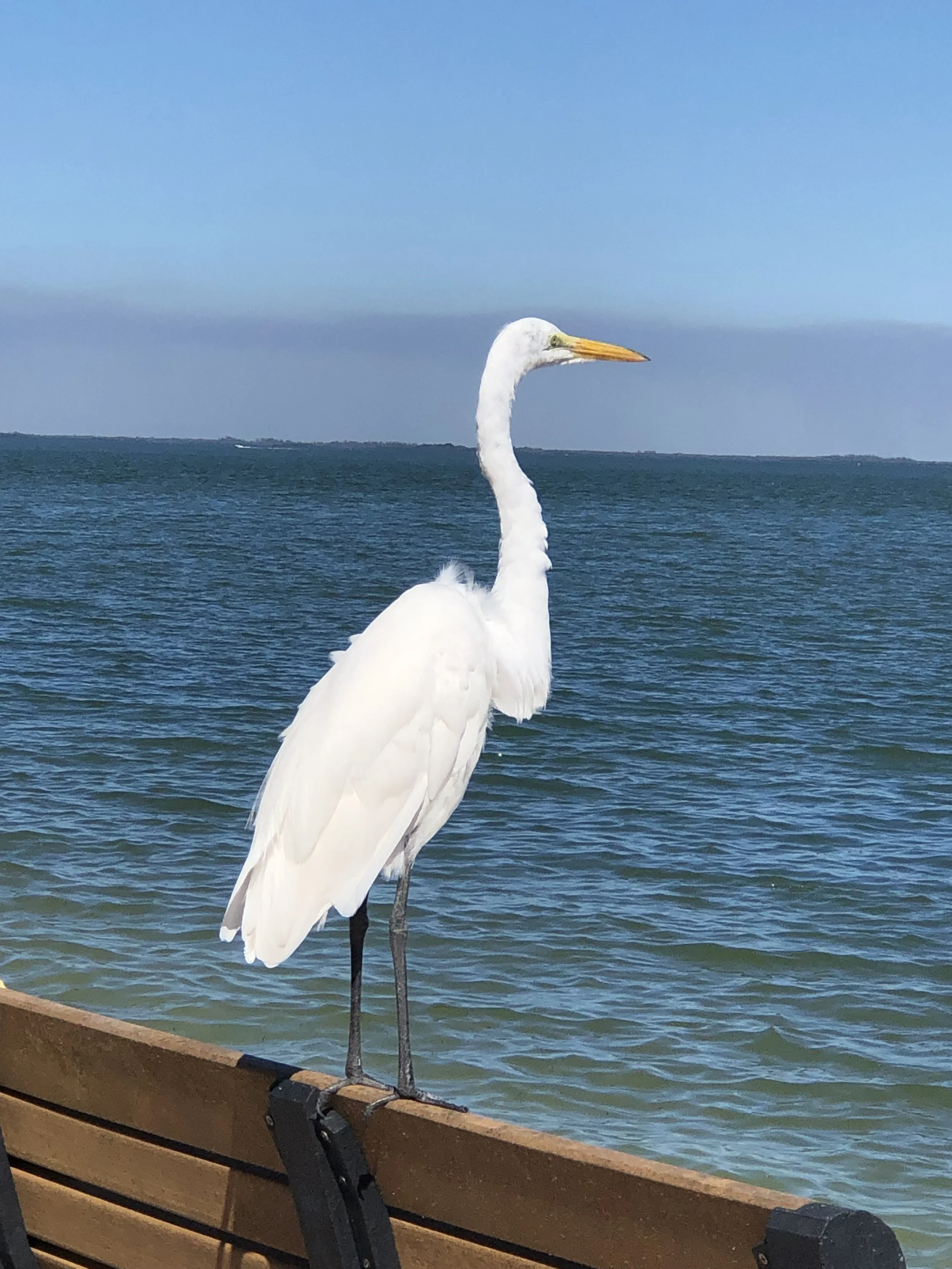 What Does it Mean to Simplify?