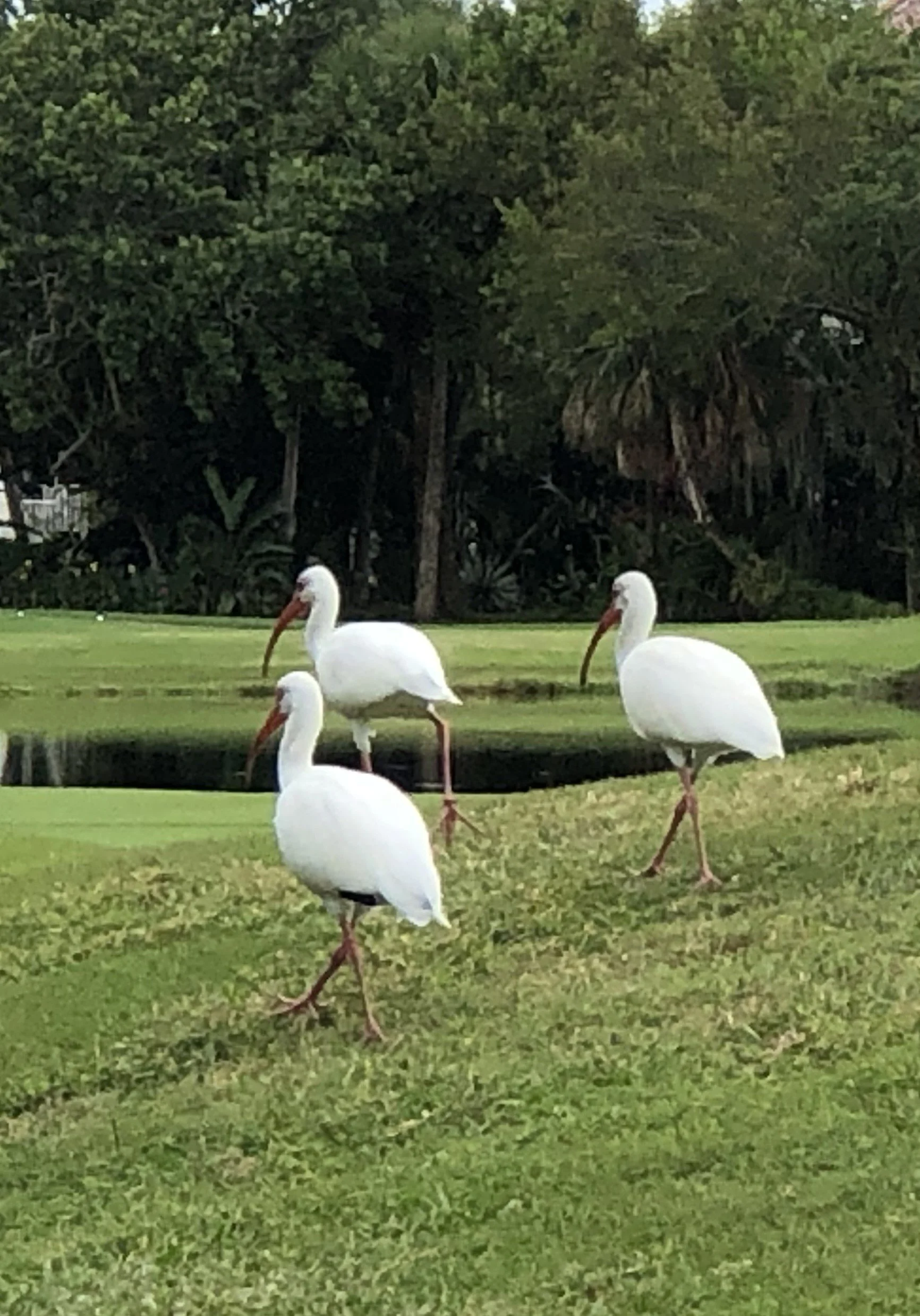 Moving at the Pace of Presence