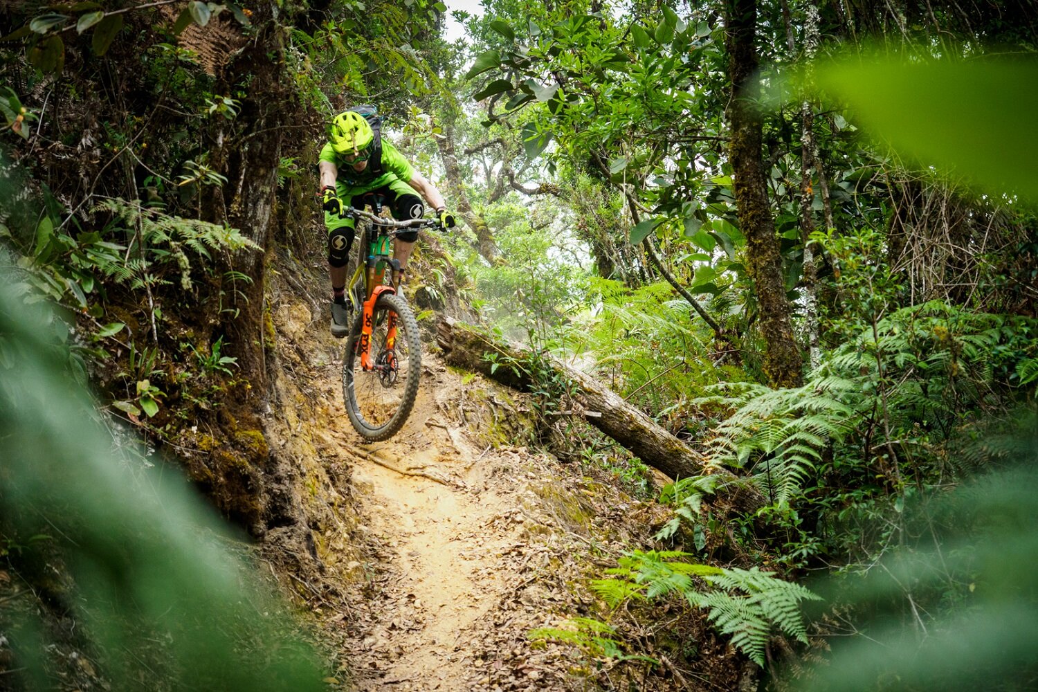 Mountain biker riding technical singletrack trail in Costa Rica rainforest
