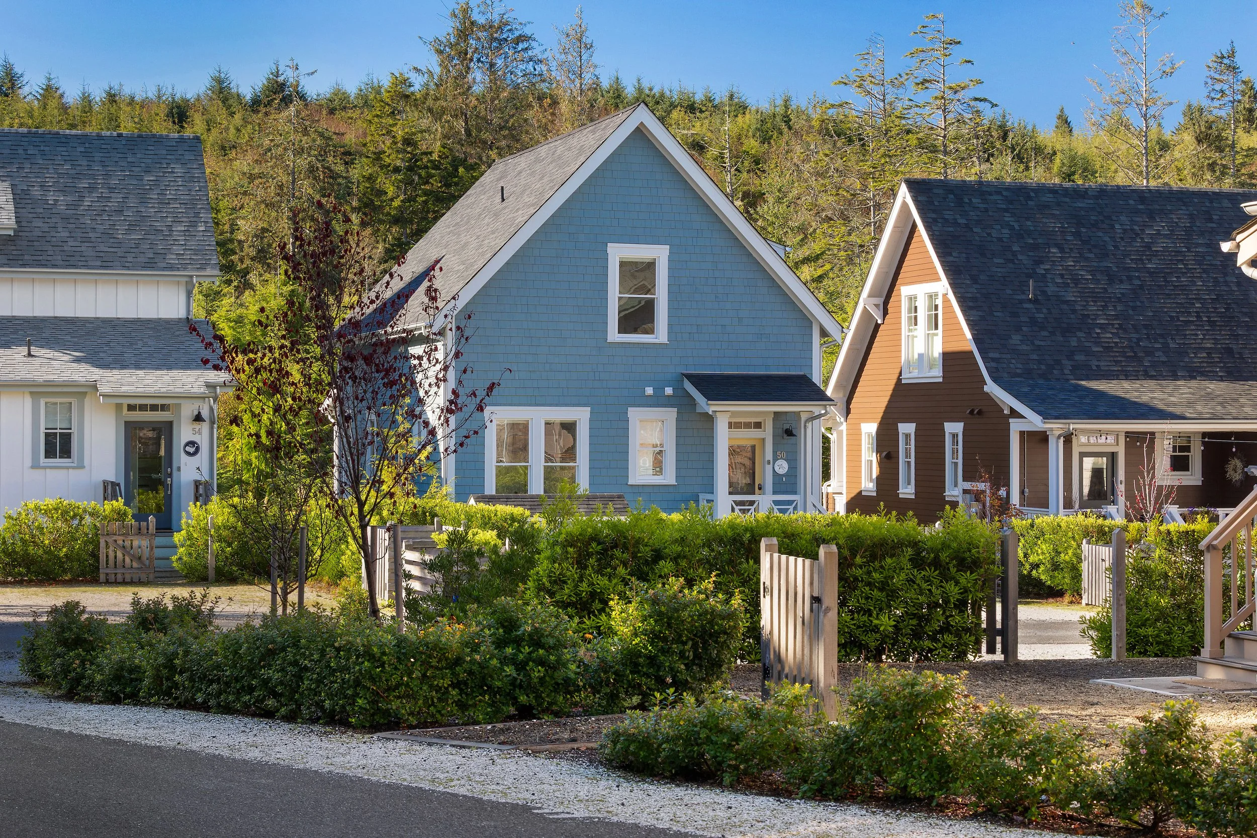 Colorful houses with a blue house in the center, a brown house to the right, and a white house to the left, in a residential neighborhood with greenery and trees in the background.