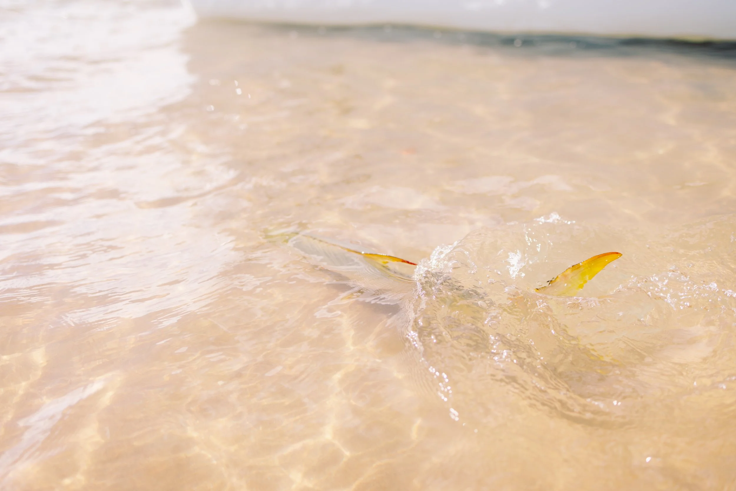 GonsiewskiA -6805.jpg