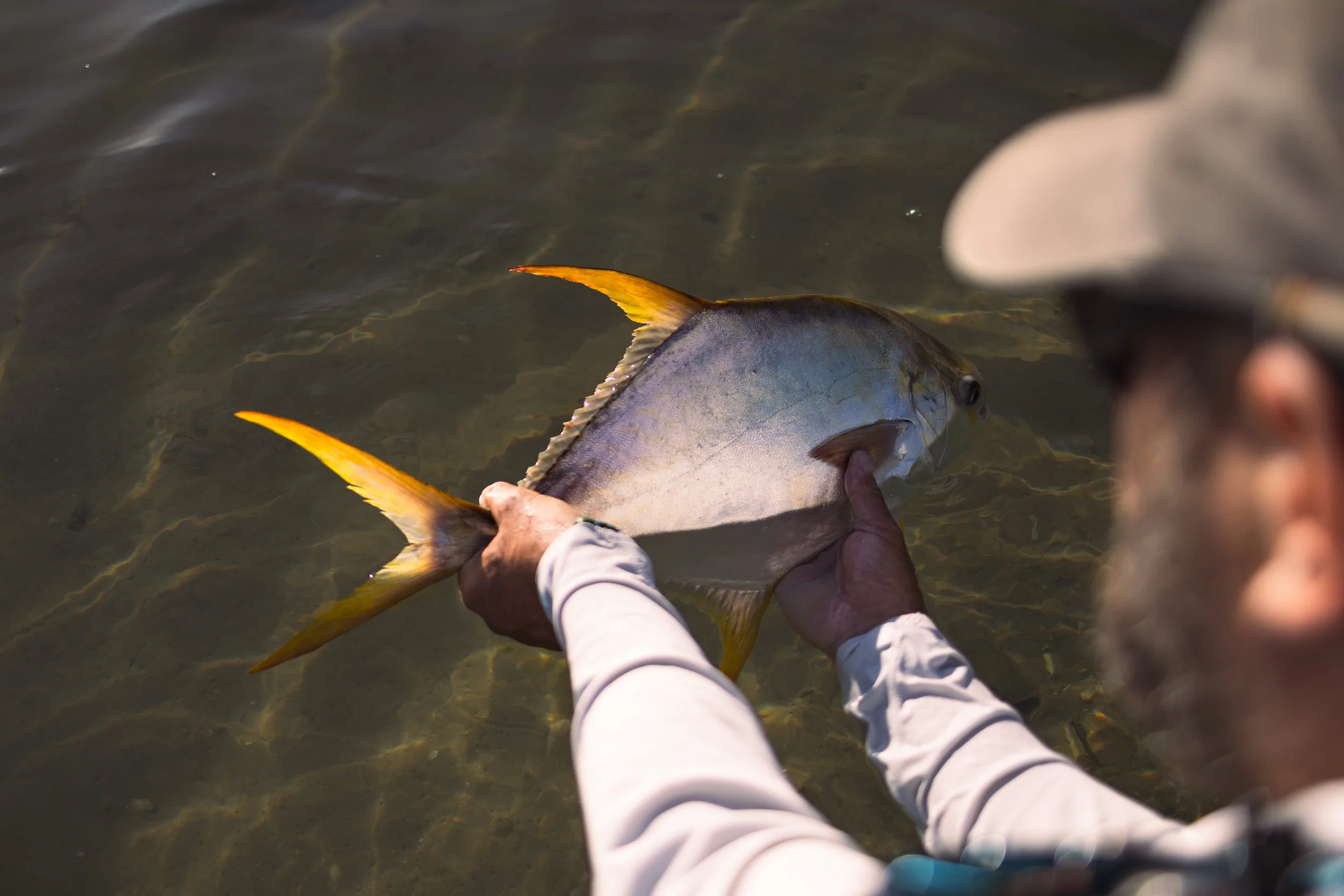 GonsiewskiA -6635.jpg