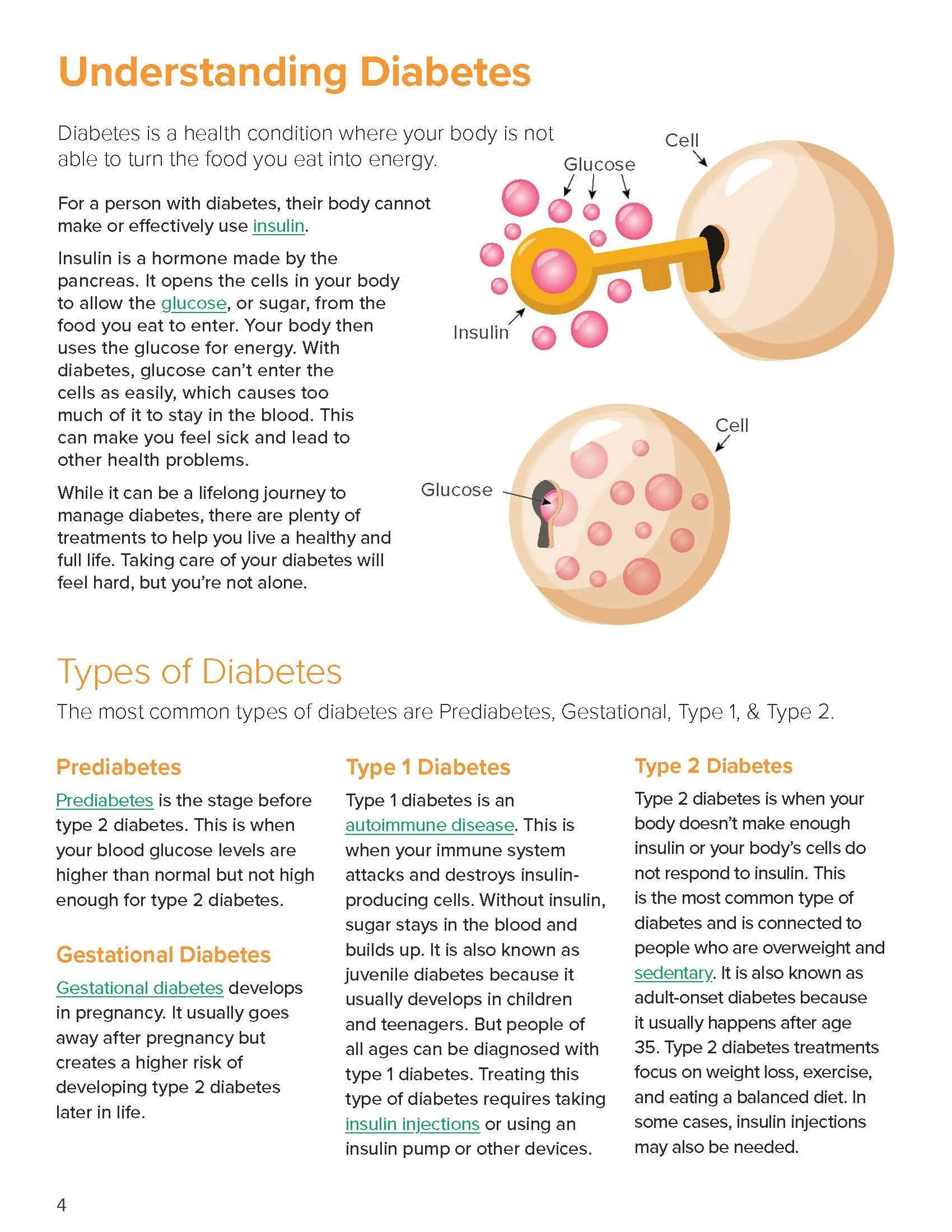 FRx-Booklet_Understanding-Diabetes_Centene_DBTS_Page_04.jpg