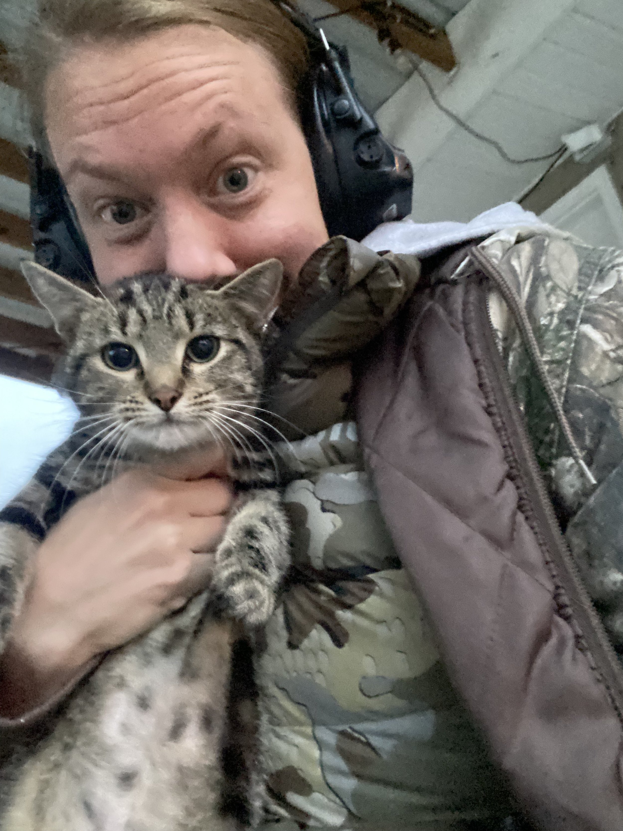 Person wearing earmuffs holding a tabby cat.