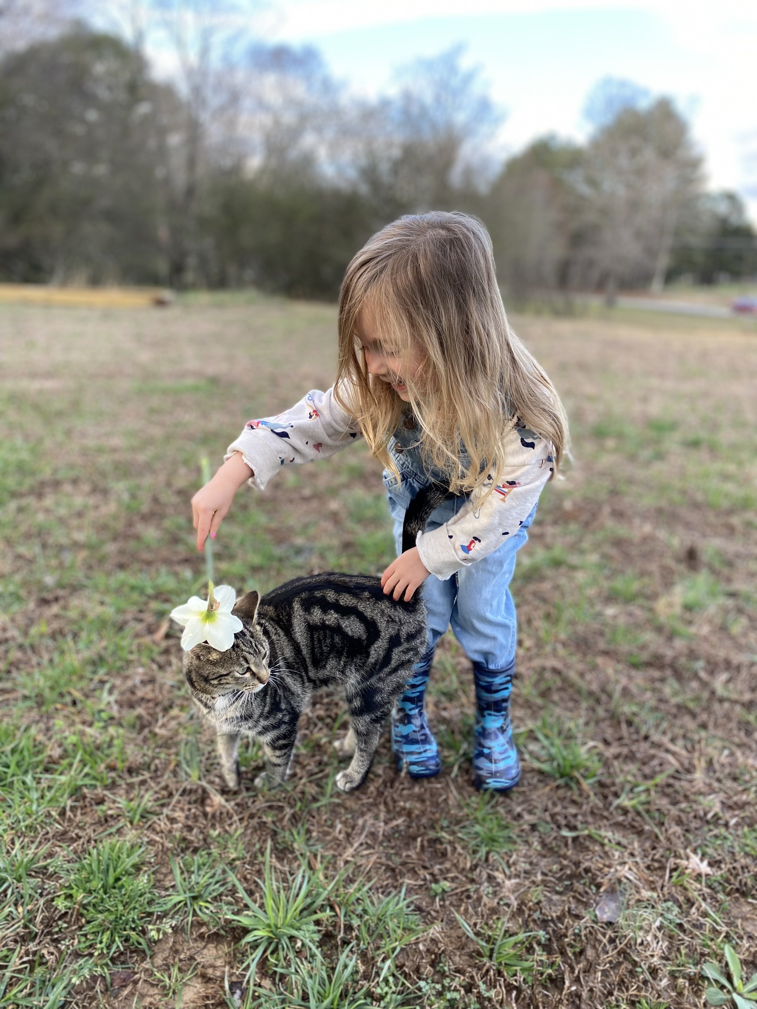 Child playing with a cat outdoors