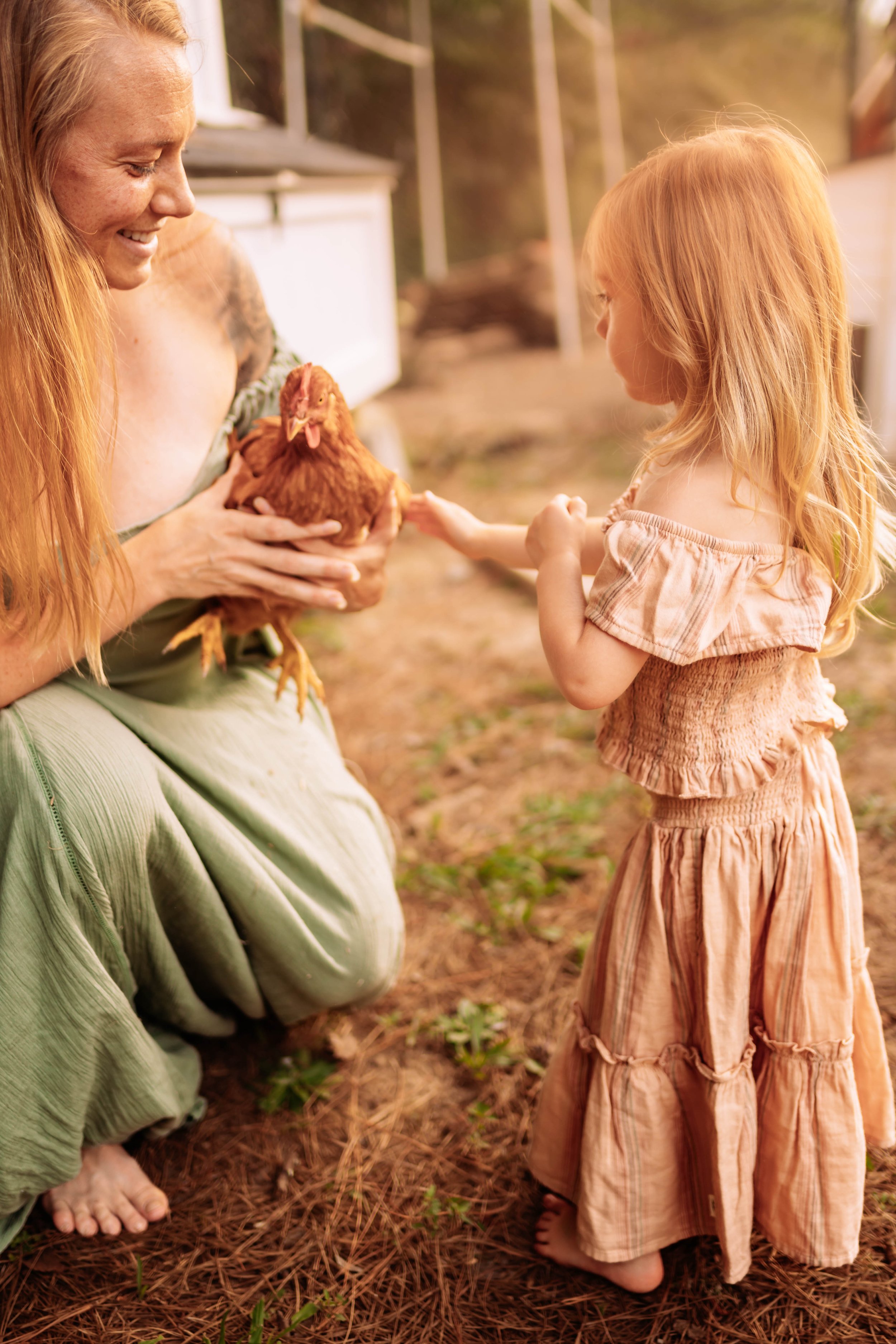 Woman holding a chicken while a young girl in a dress reaches out to touch it, in an outdoor setting.