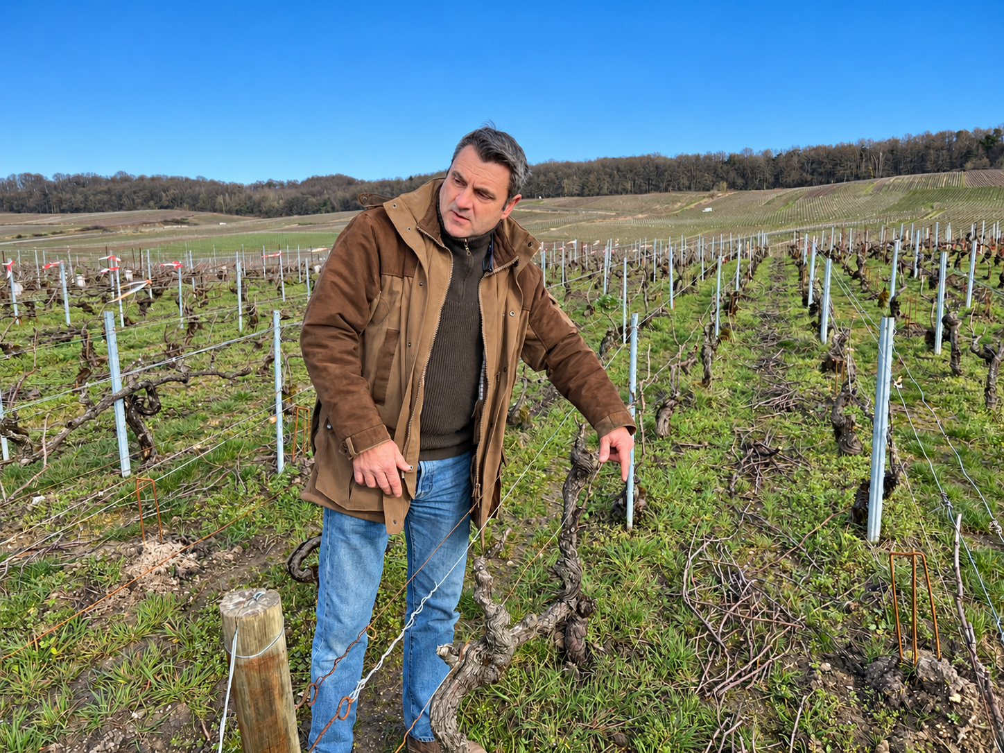  
  Benoît Lahaye
  
 Champagne
 