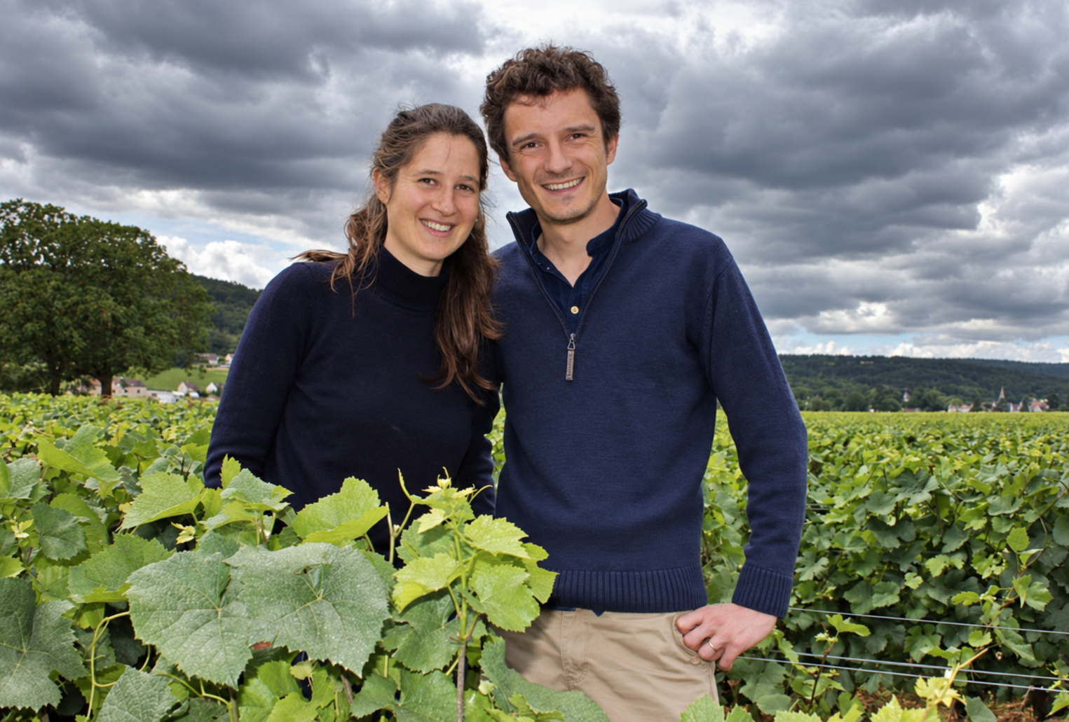  
  Le Puy de L’Ours
  
 Burgundy 