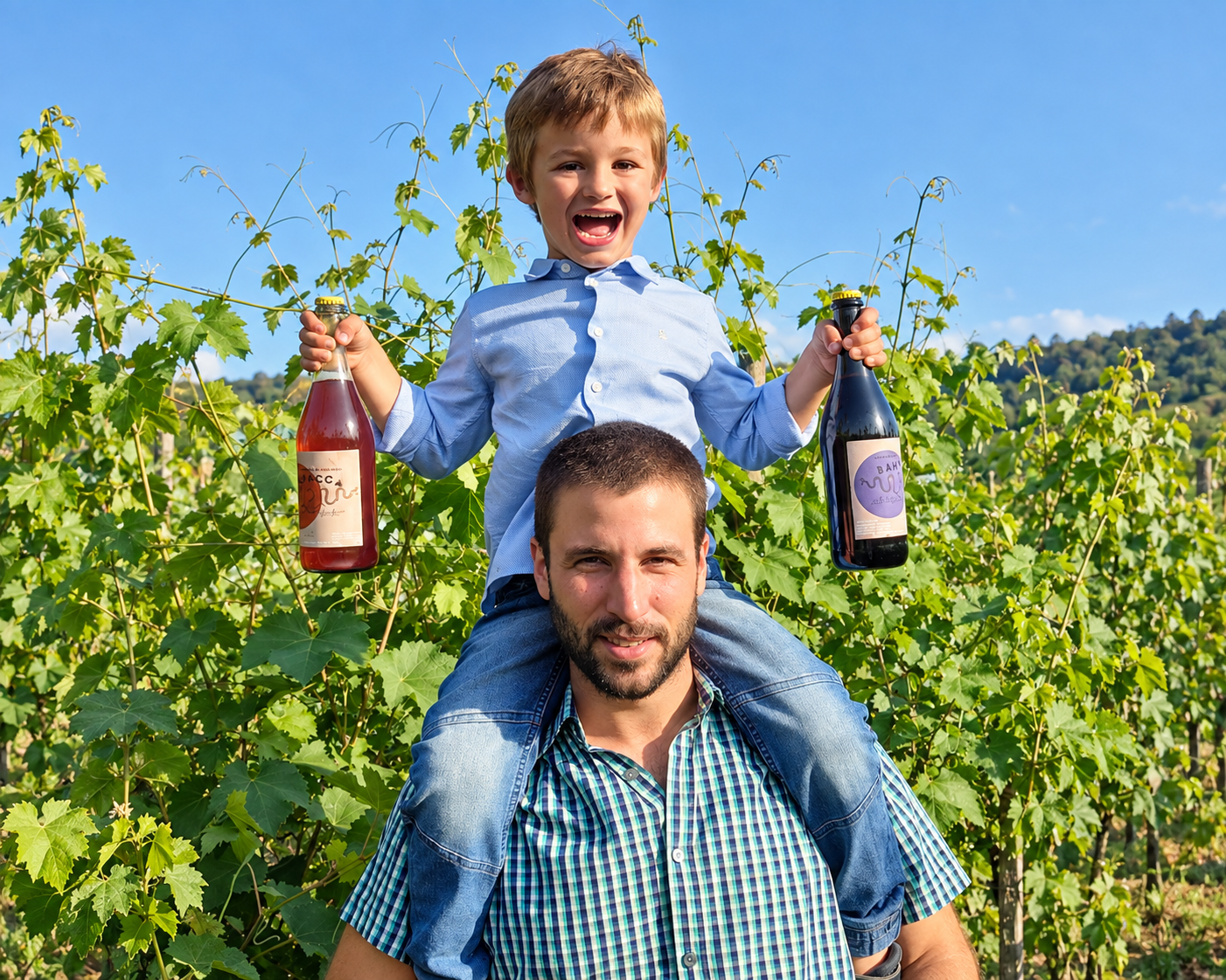  
  Brigo Vini
  
 Emilia Romagna  