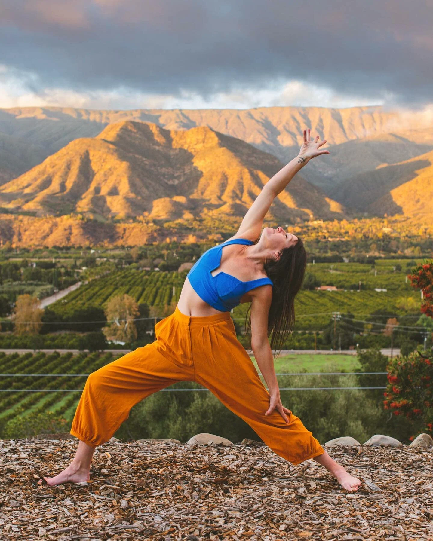 5 Yogic Practices 
To Tone Your Vagus Nerve! 

What the heck is the Vagus nerve anyway? Well, its the superhighway between your brain-body system, running from the brainstem to the colon, innervating all the parts of you along the way. 

Ancient yogi