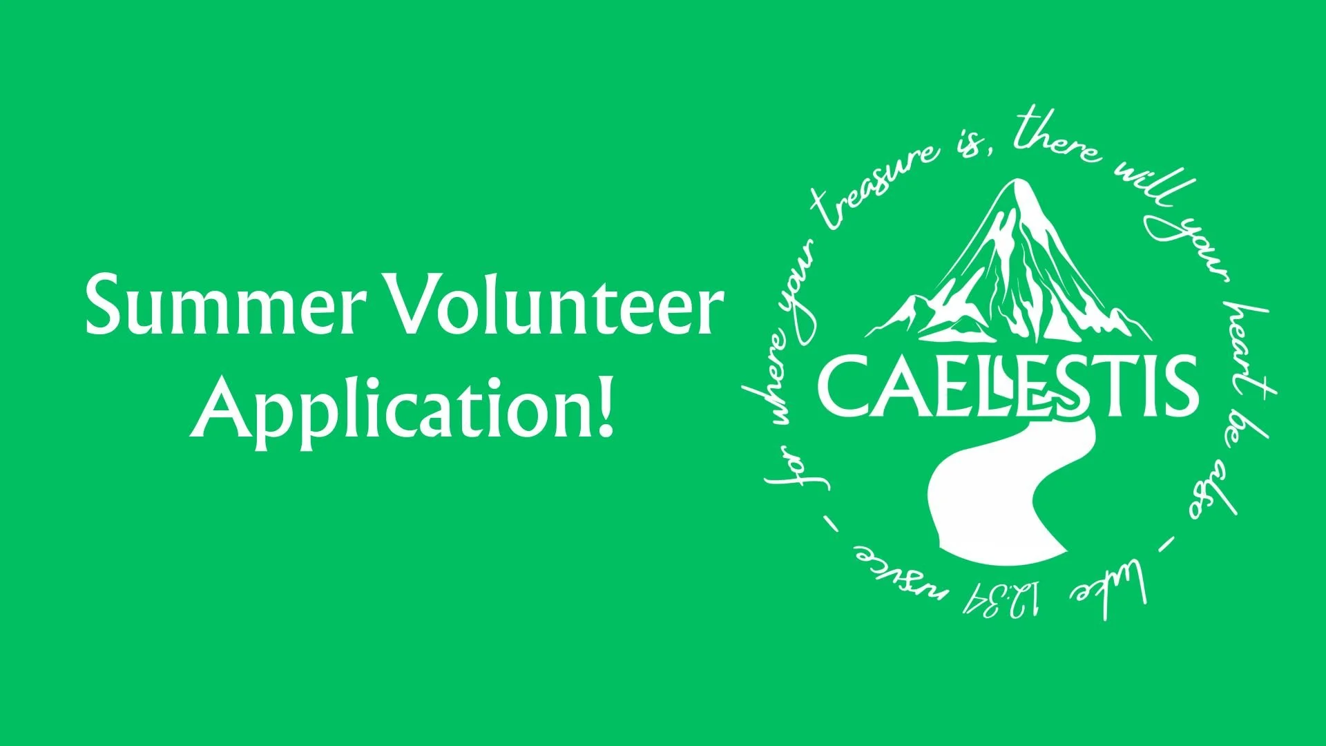 VBS and MSI Volunteer Application