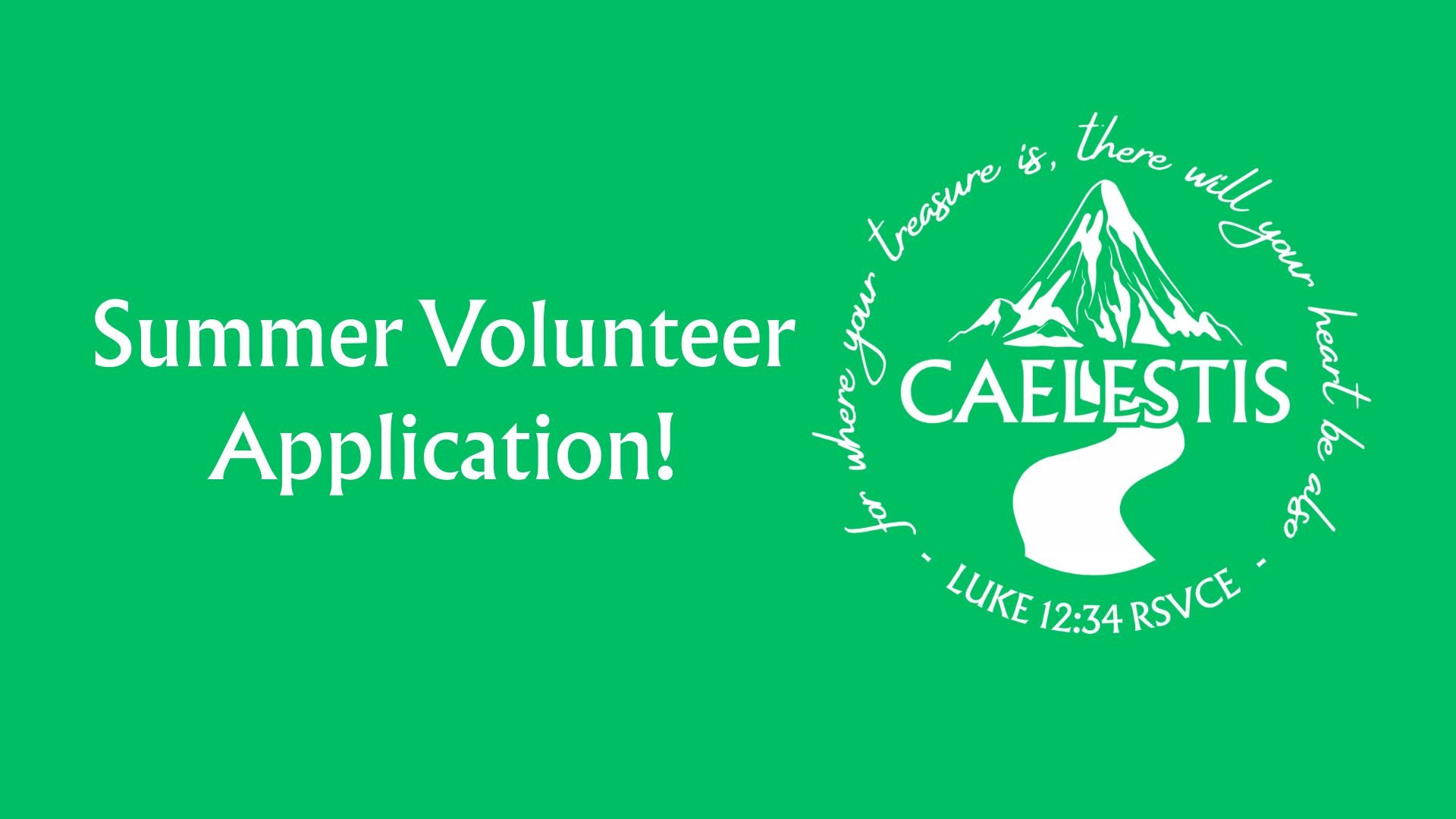 VBS and MSI Volunteer Application
