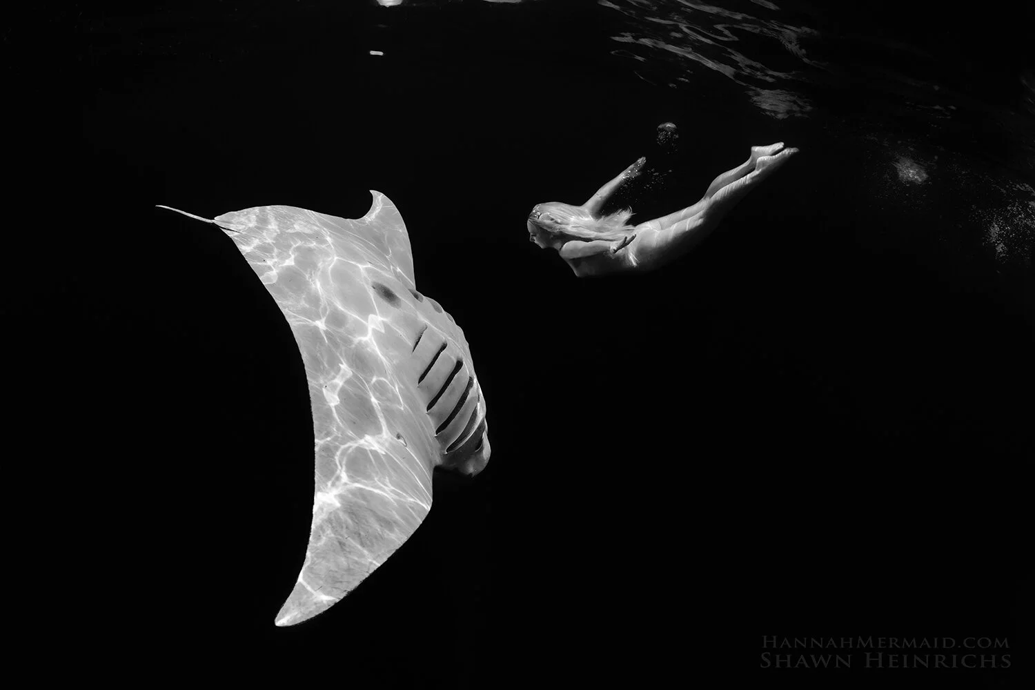 Hannah Mermaid