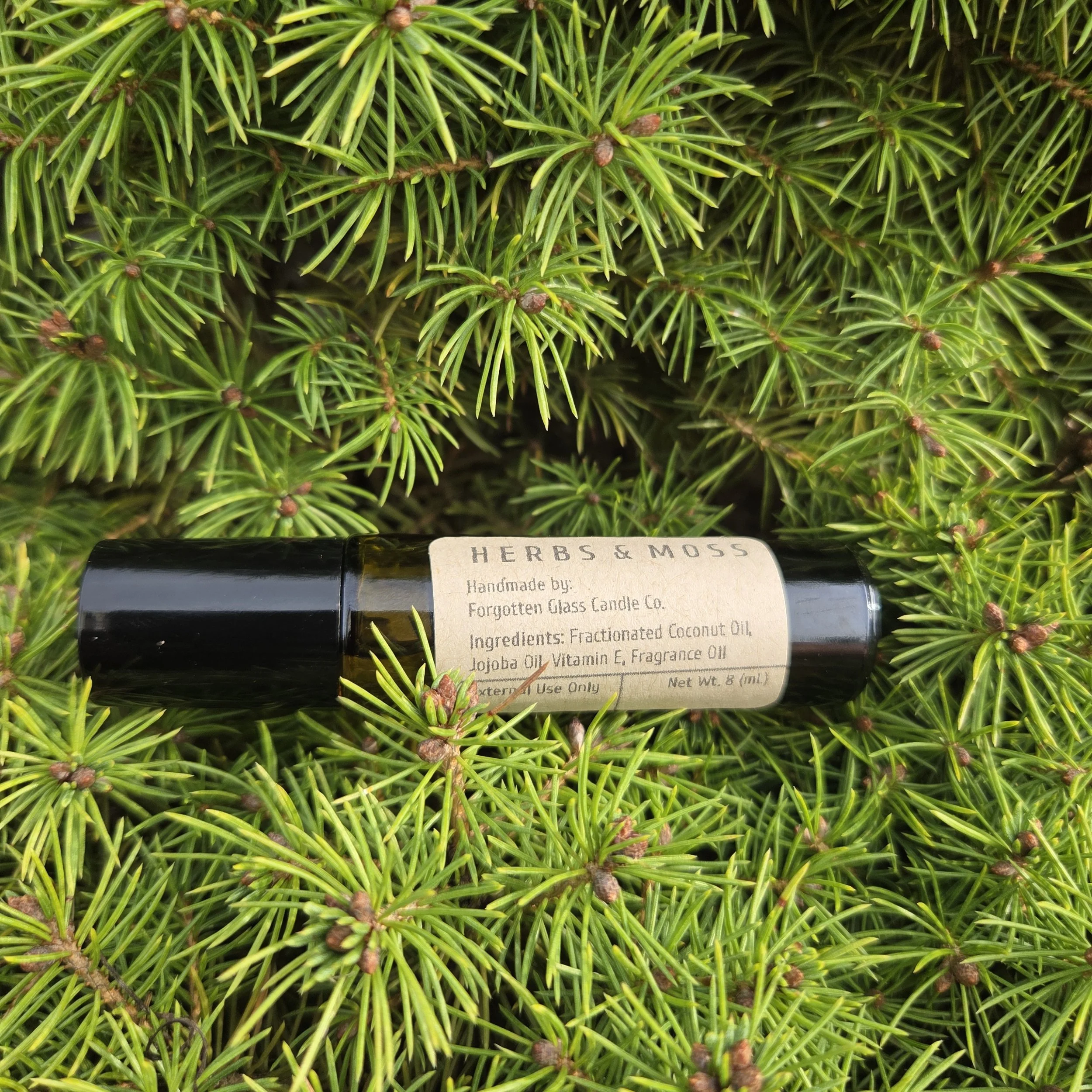 Herbs & Moss 2.jpg