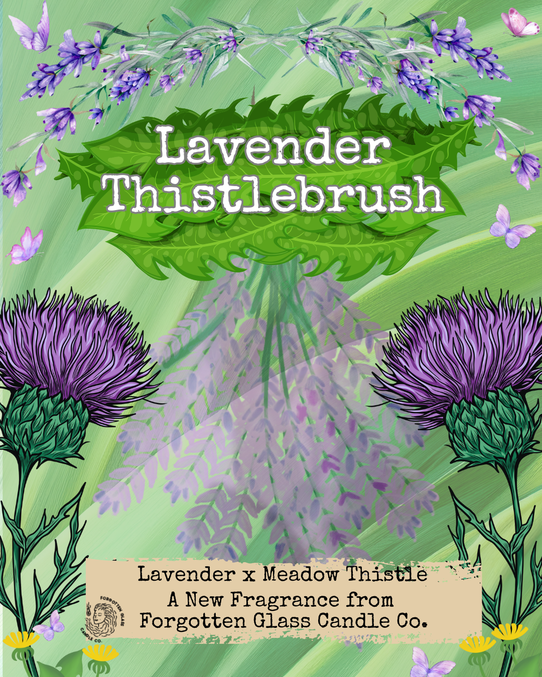 Lavender Thistlebrush