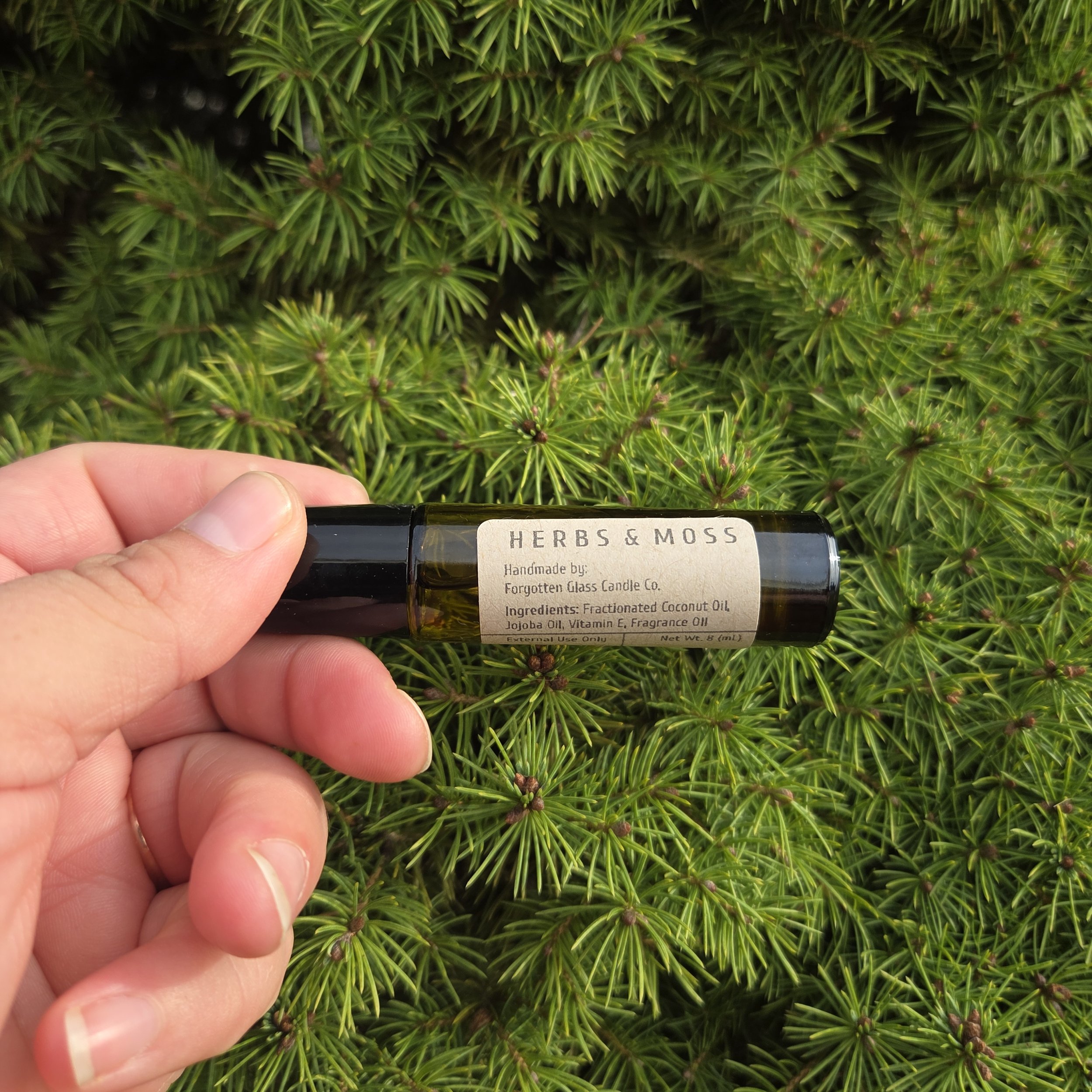 Herbs & Moss 1.jpg