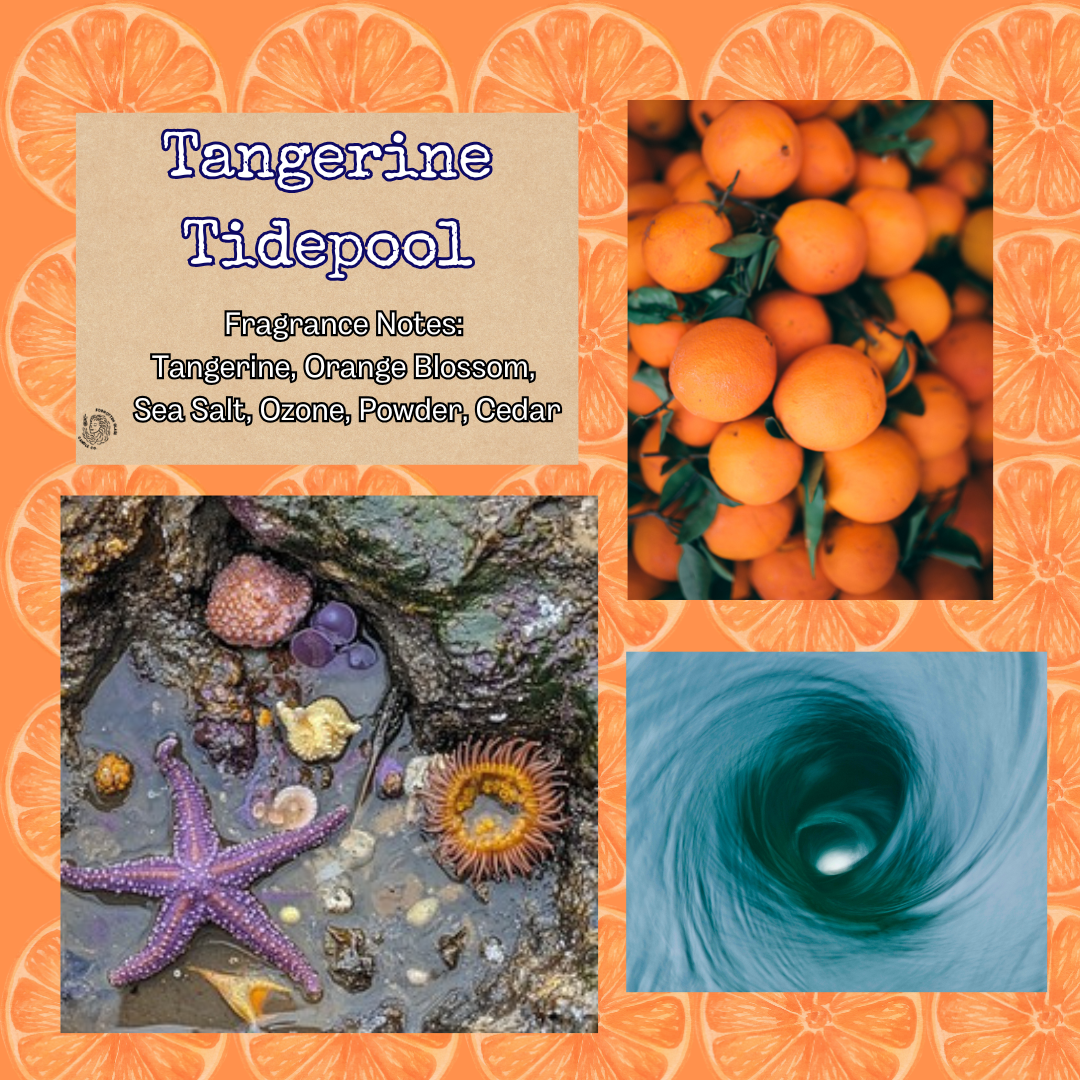 Tangerine Tidepool