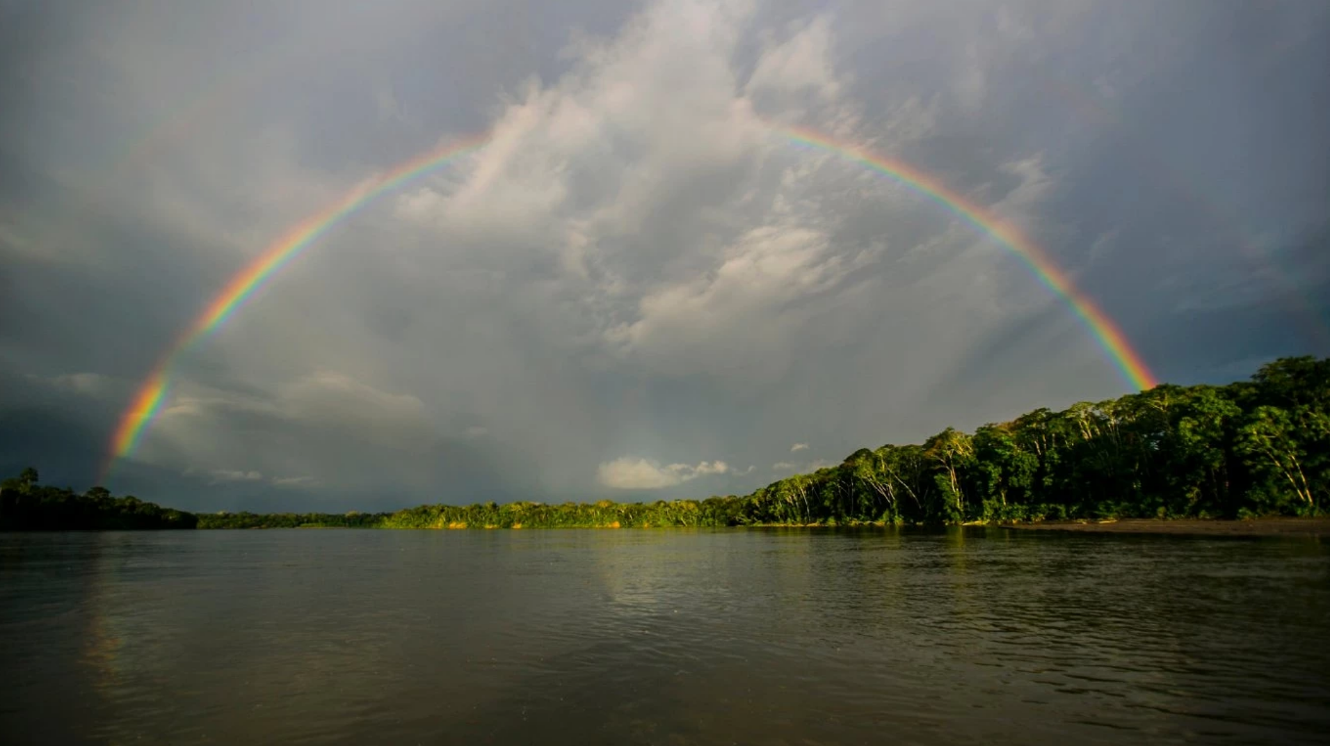 Amazon Emergency Fund