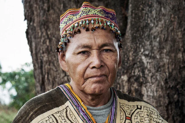 Pandemic Relief for Shipibo Families