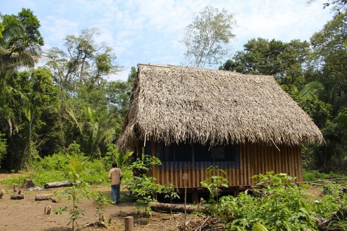 Relief for Living Shipibo Pharmacy of Paoyhan