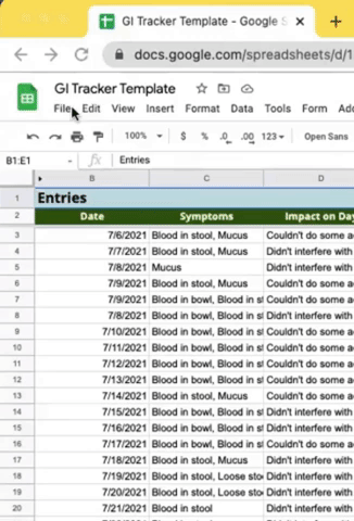 GI Tracker (Google Form + Google Sheets) — Wingspan Health