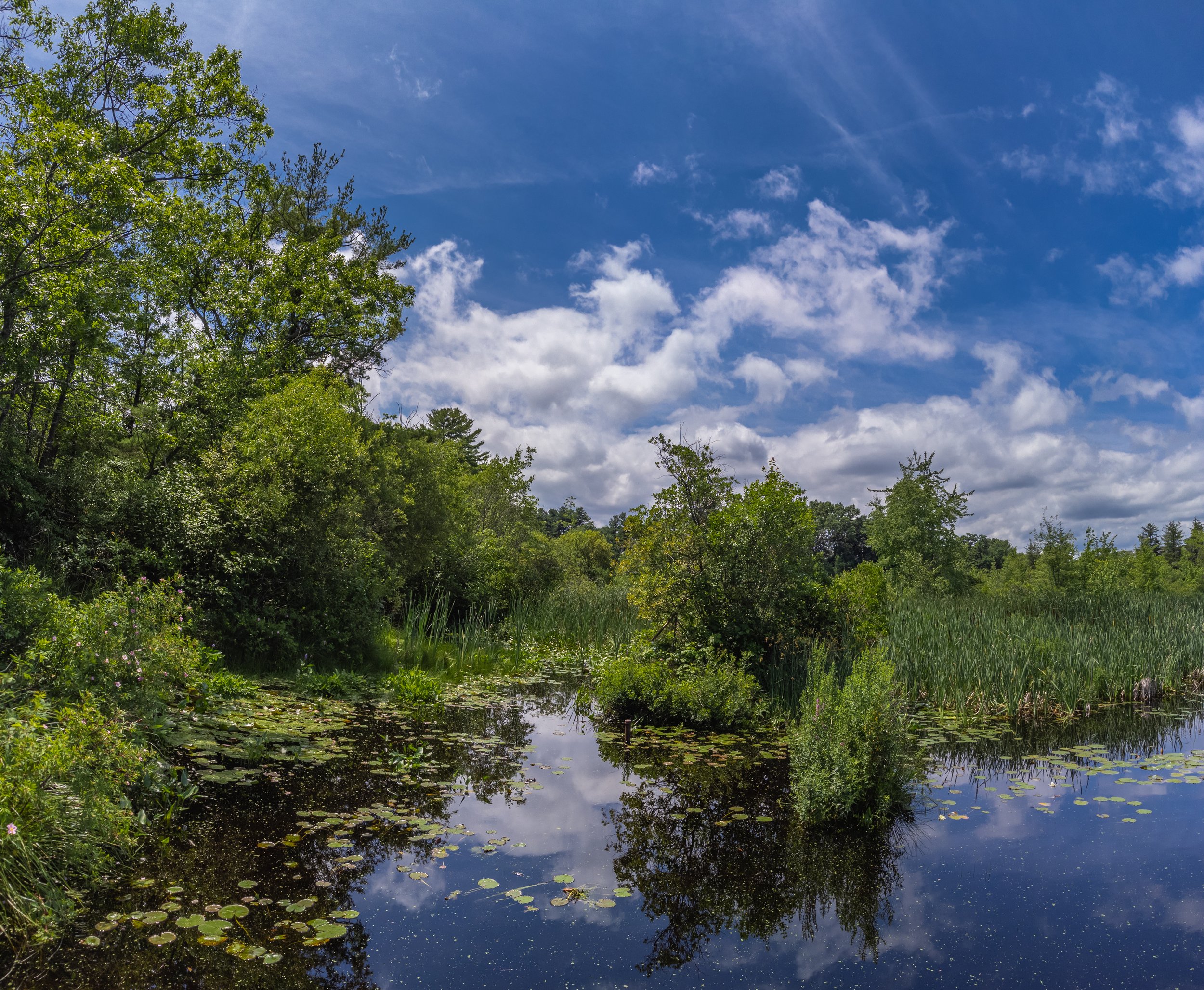 20210705_61-HDR-Pano.jpg