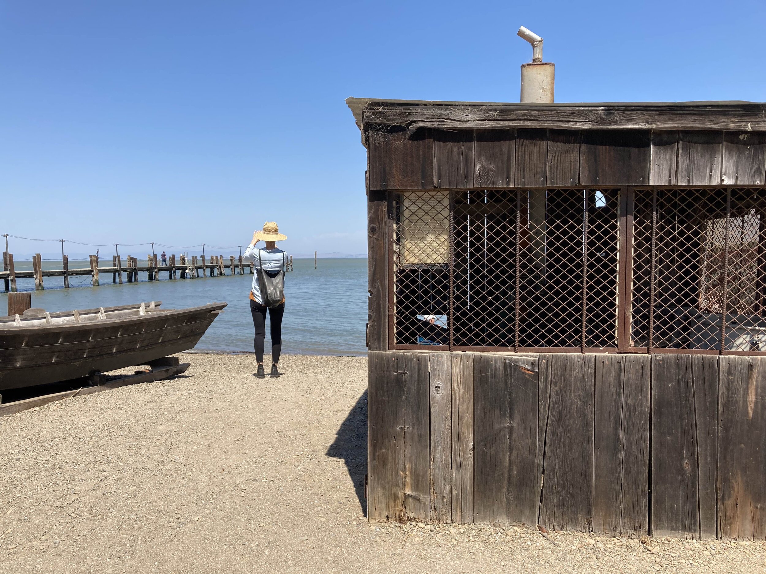 San Francisco, CA. A close friend snaps a photo of the beautiful landscape before her.