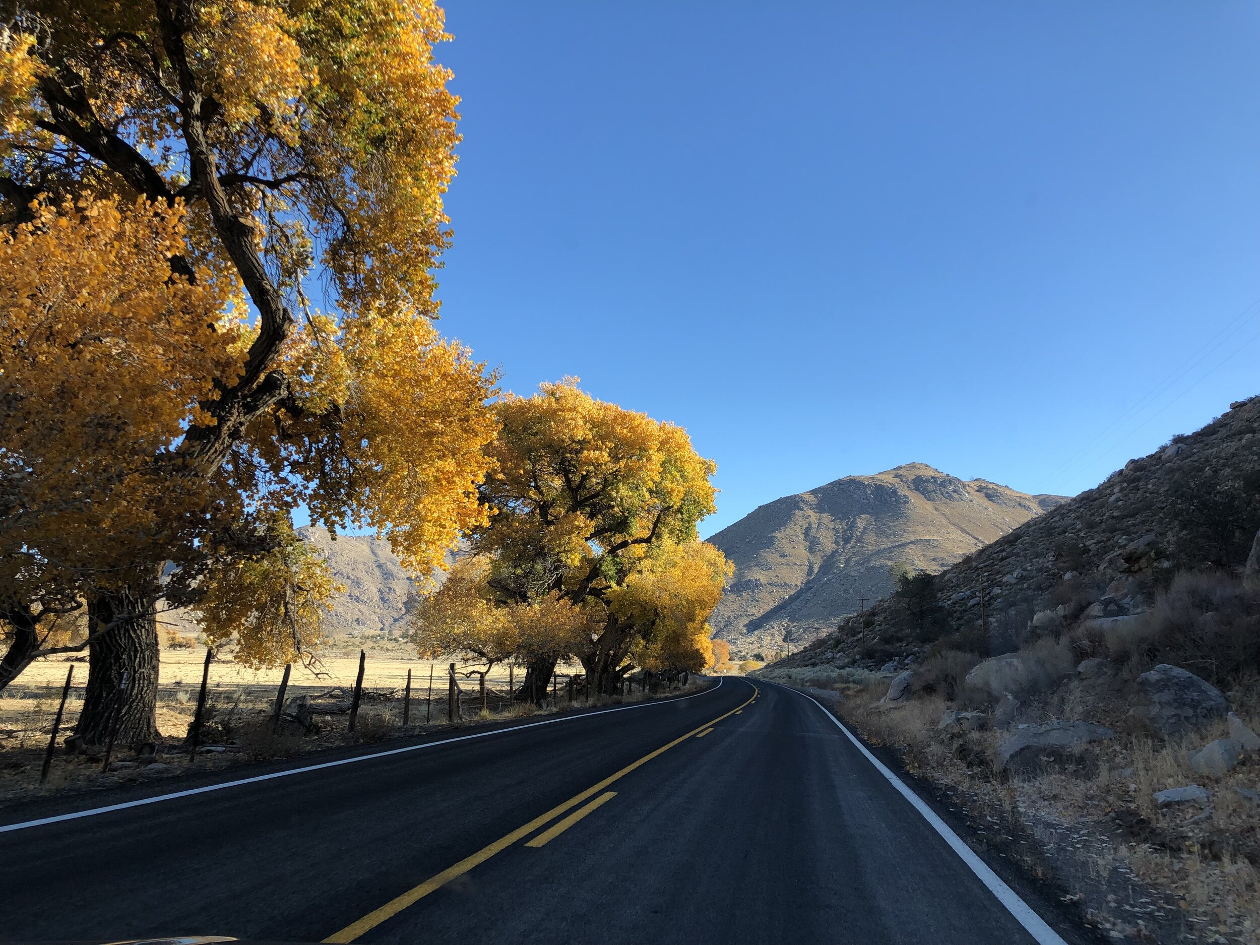 On the road again! Somewhere in CA...