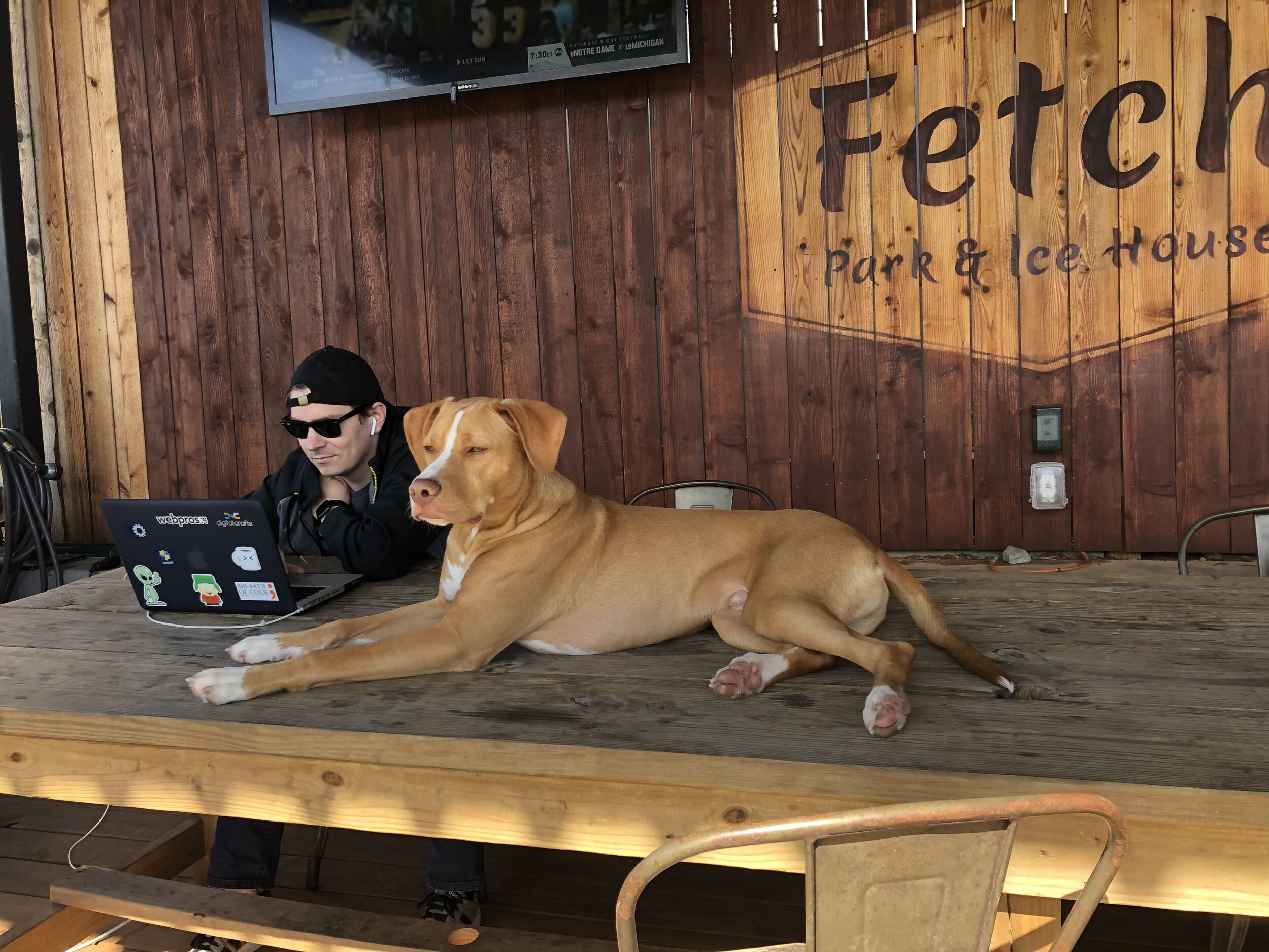 Atlanta, GA. A proud dog makes his presence known at a the famous Fetch Park.