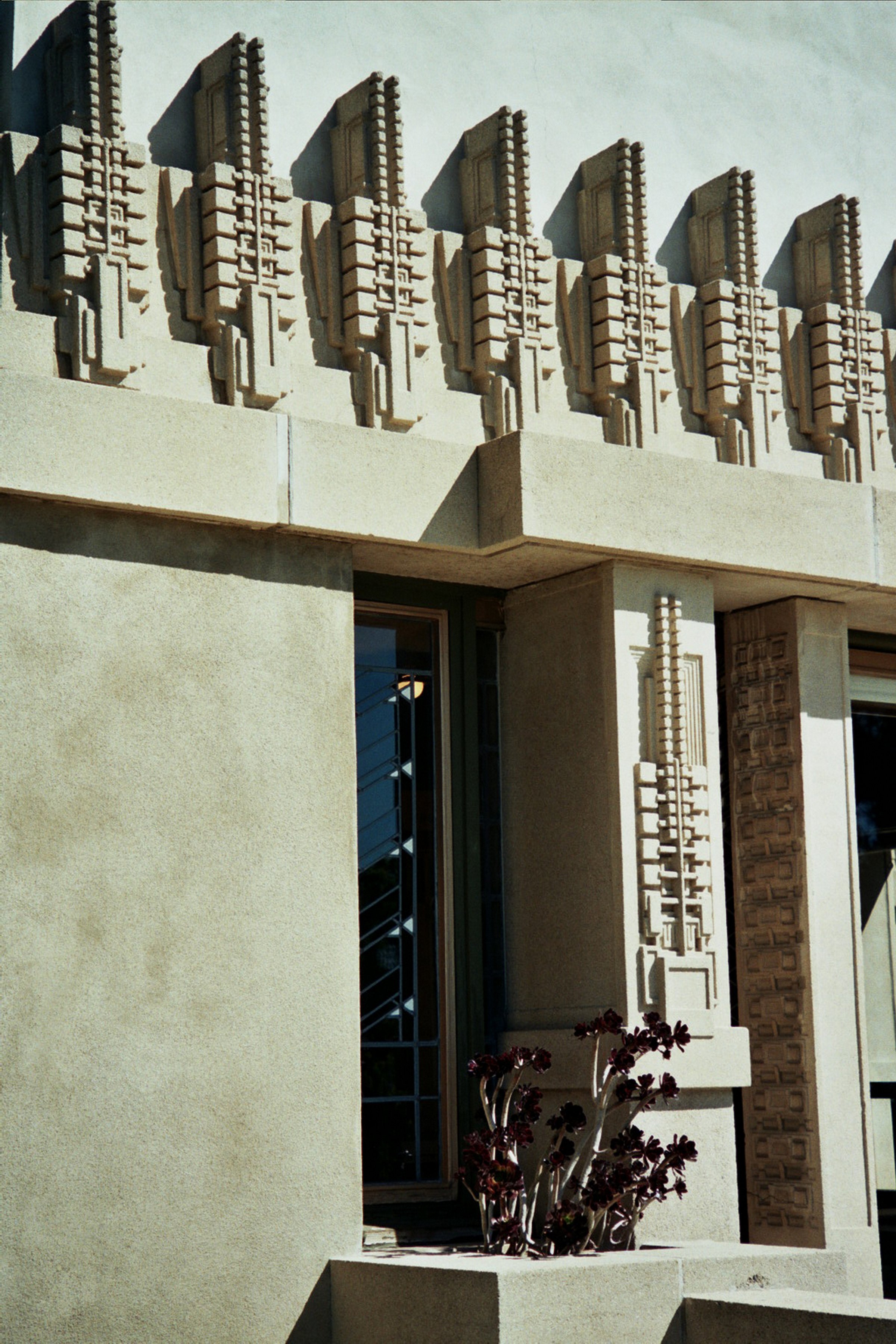 Hollyhock House, Los Angles