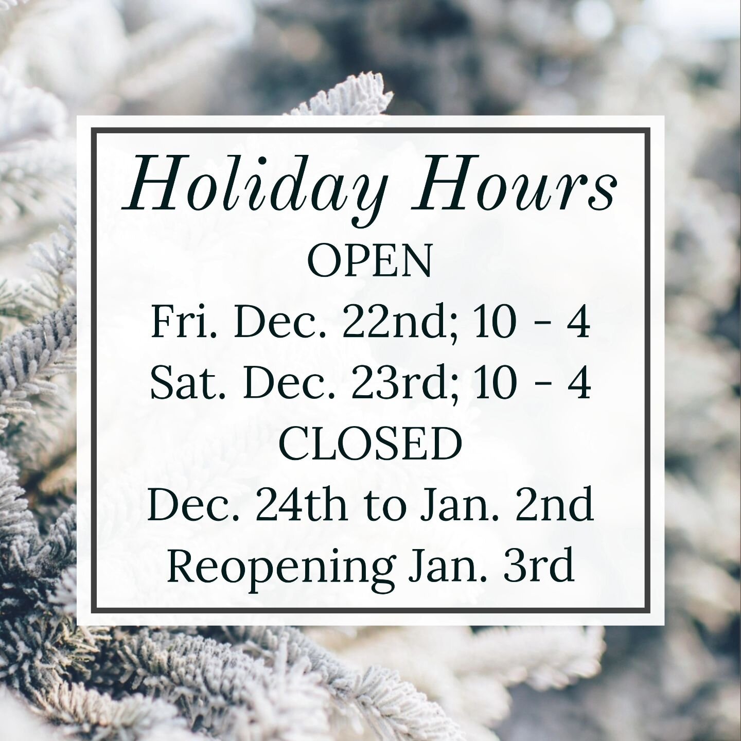 The countdown is on!!!
There's only a couple of in-store shopping days left before the start of our holiday break.

Please note that the Shoppe will be CLOSED from December 24th to January 2nd. We will reopen for our regular business hours on Wednesd