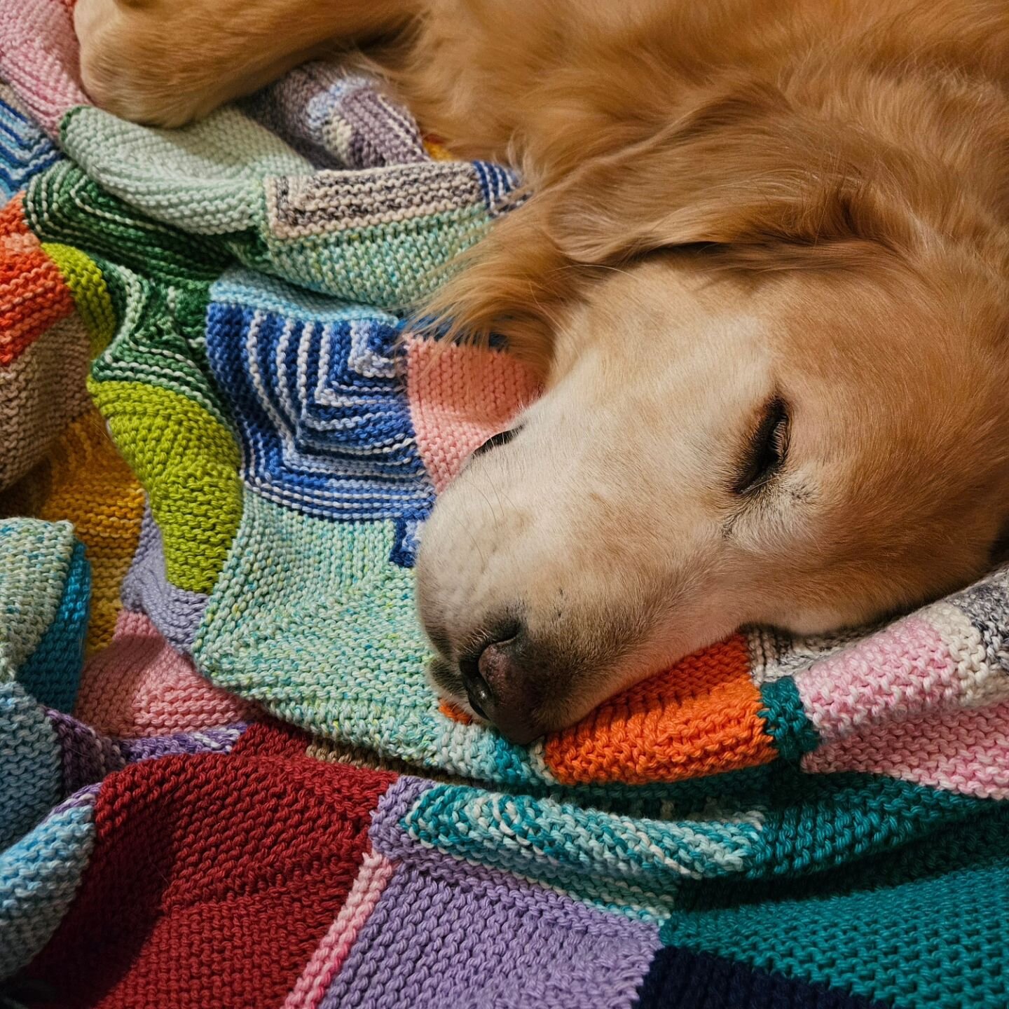 Dudley and I decided to work on our Mitered Square Blanket tonight. It's that one project of ours that gets pulled out every once in a while to work on.

We're knitting our blanket using leftover pieces and partial balls of crafting cotton yarn. Most