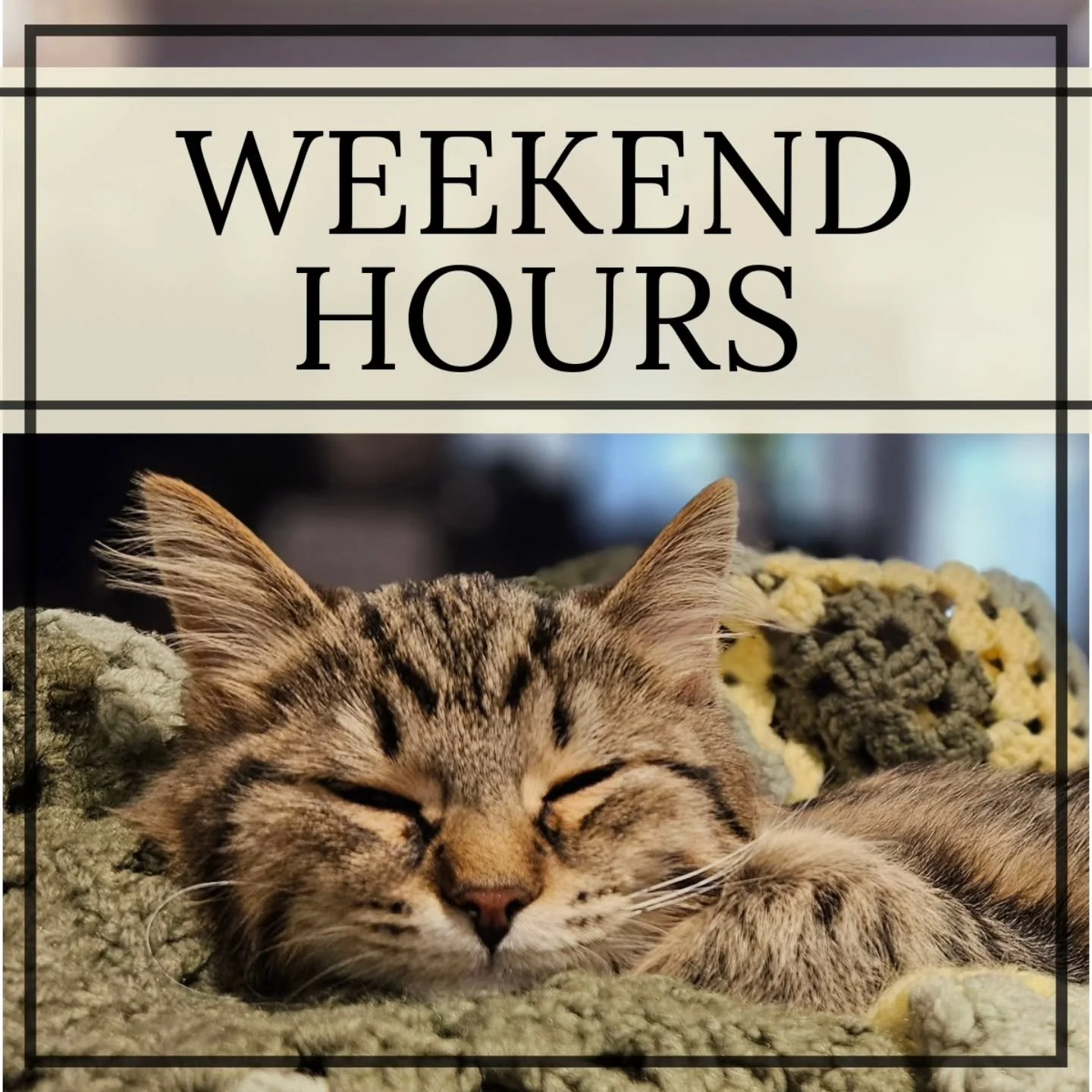 Hey Everyone, just a quick note to let you know we're switching things up a bit this weekend.

The Shop will CLOSED  Saturday but OPEN Sunday this weekend.

Weekend Hours;
Friday, June 6th: 10am to 4pm
Saturday, June 7th: CLOSED
Sunday, June 8th; 10a