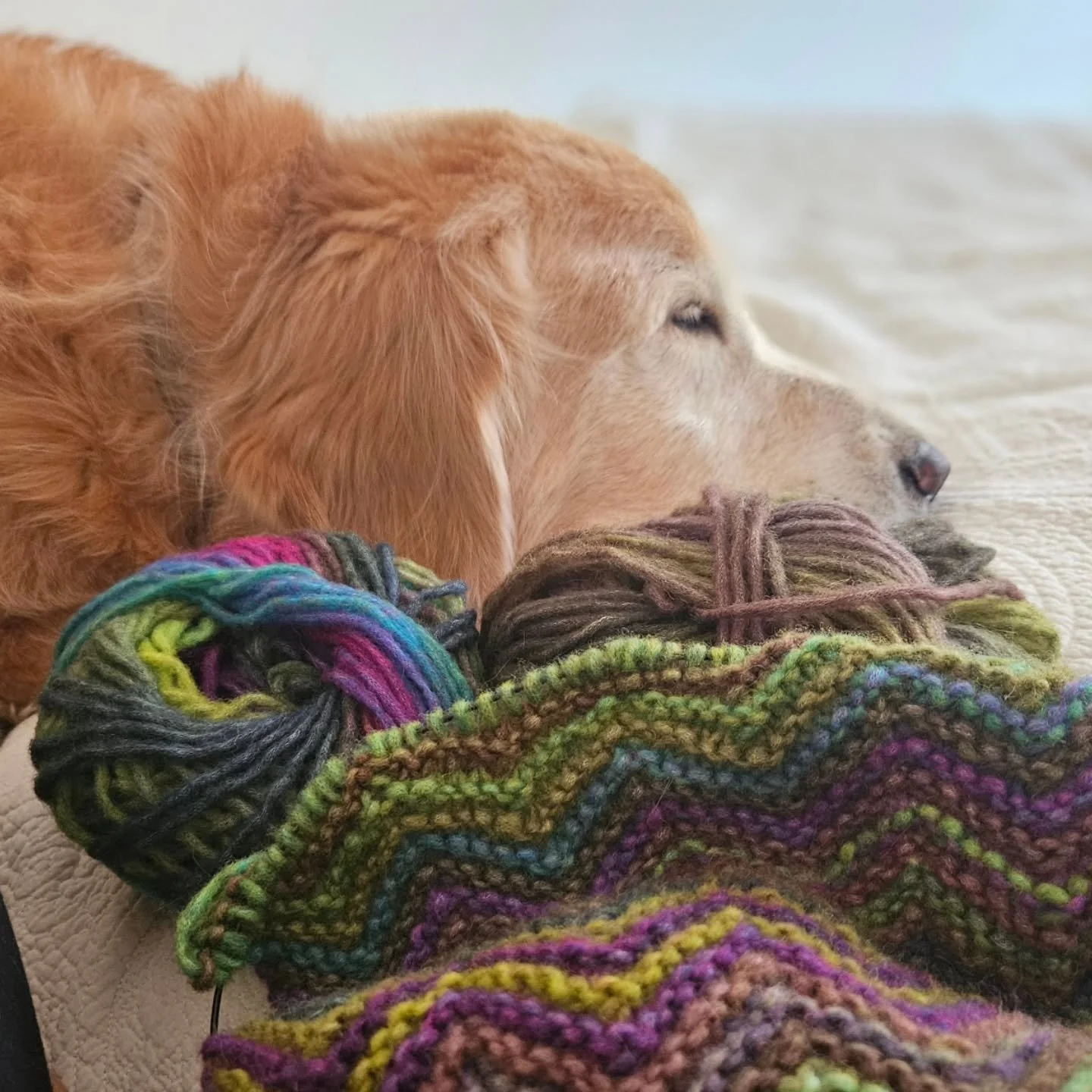 Tonight's best medicine...

I'm curled up with my favourite boy while knitting my comfort project and watching @barnandbunkie Monday Night Facebook Live.

The combination of love, meditation, joy, and laughter that all these bring...fills my soul.

L