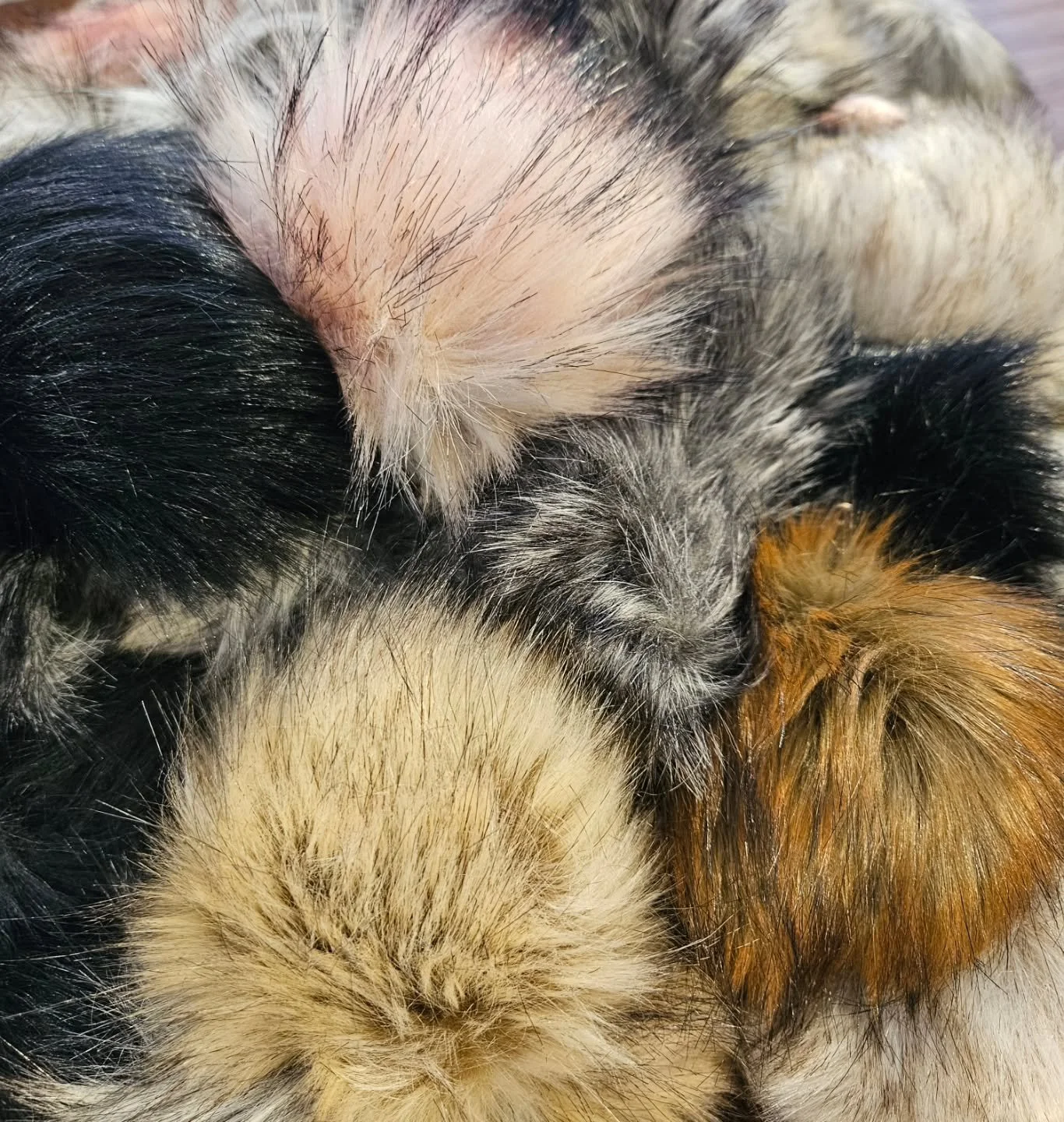 They're here!!!!

Faux fur snap on pom poms are back in stock. 

Available in-store and online.